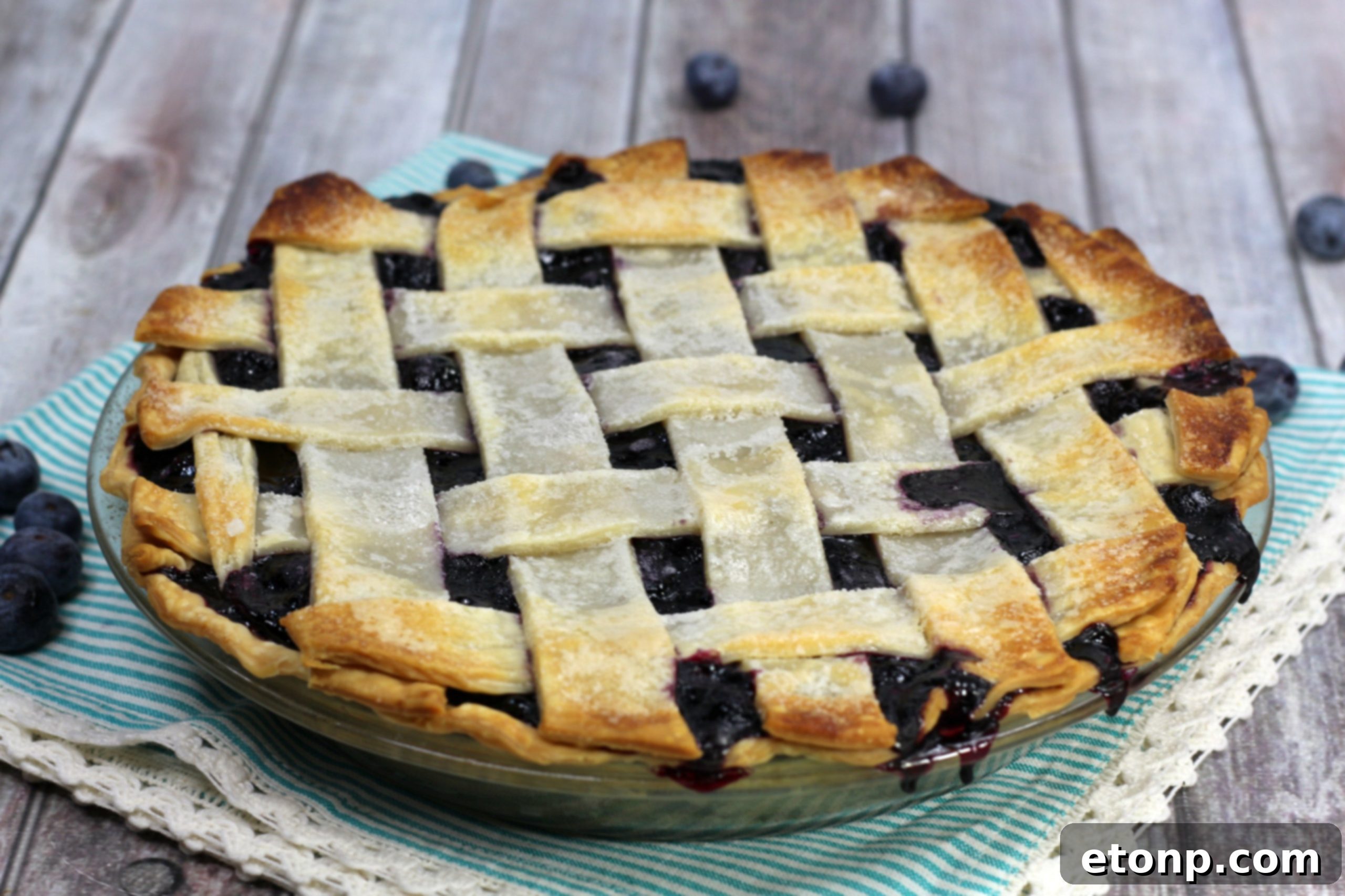 Several slices of blueberry pie artfully arranged, showing the filling