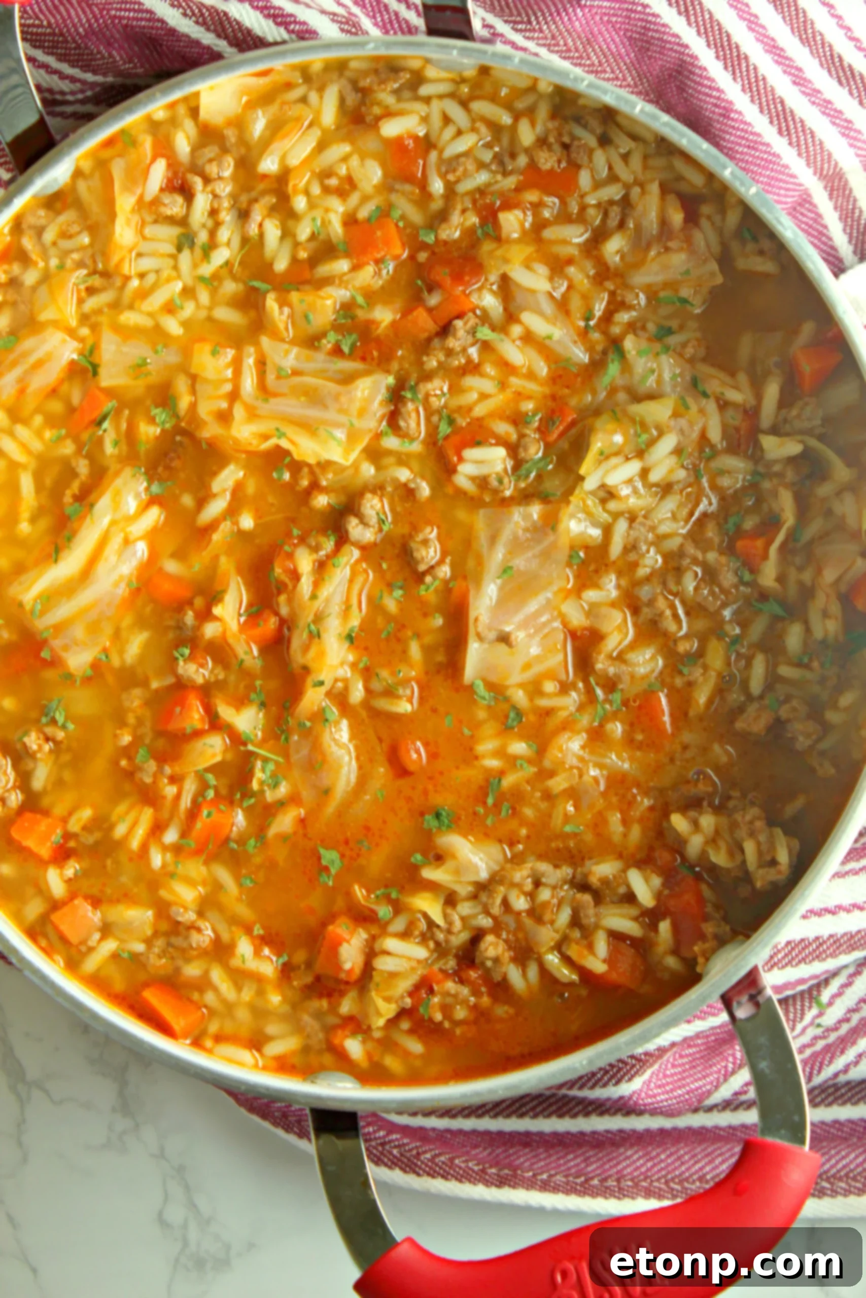 A bowl of rich, savory cabbage roll soup garnished with fresh parsley, ready to be enjoyed.