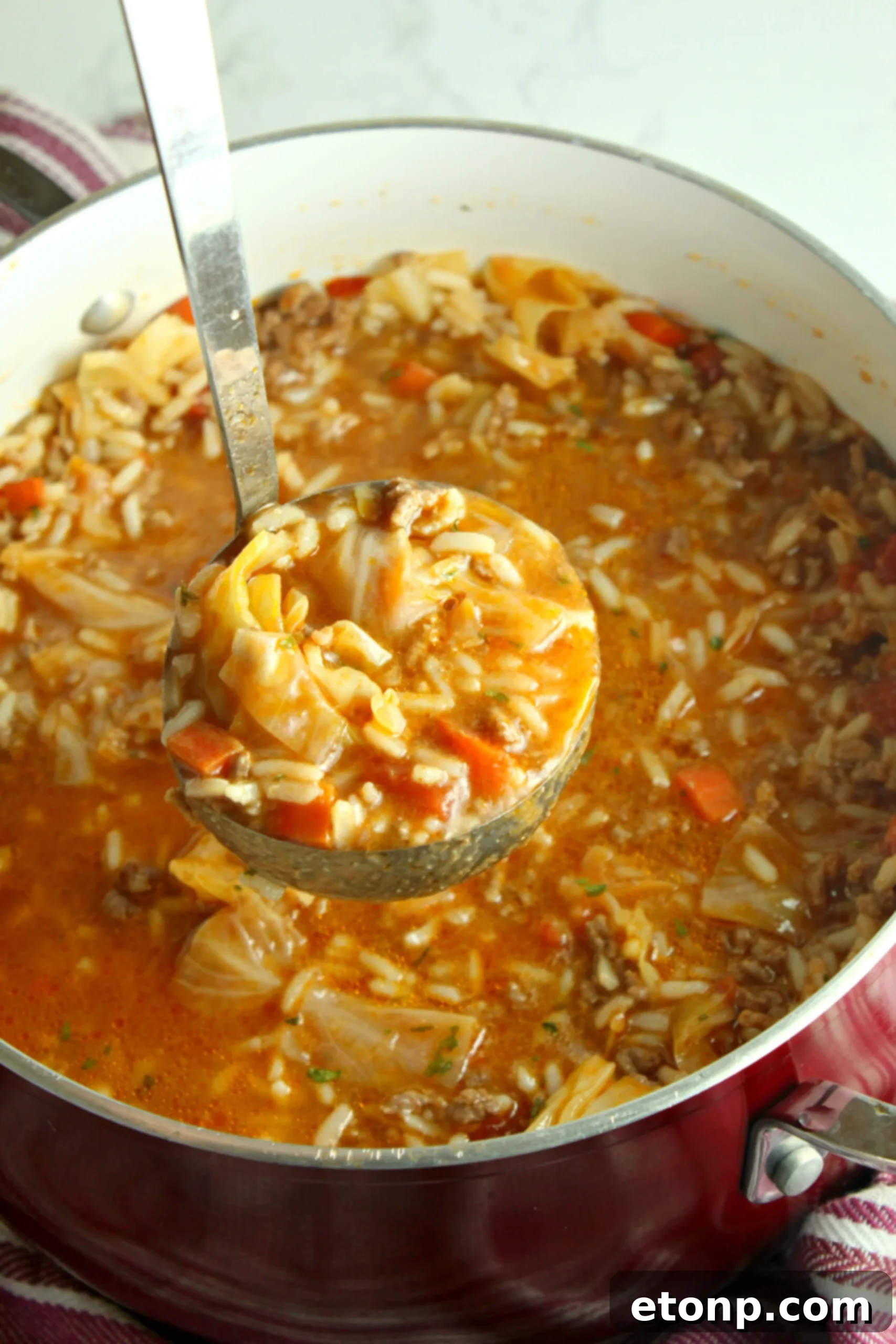 The finished cabbage roll soup in a bowl with fresh herbs, elegantly presented and ready to be served.