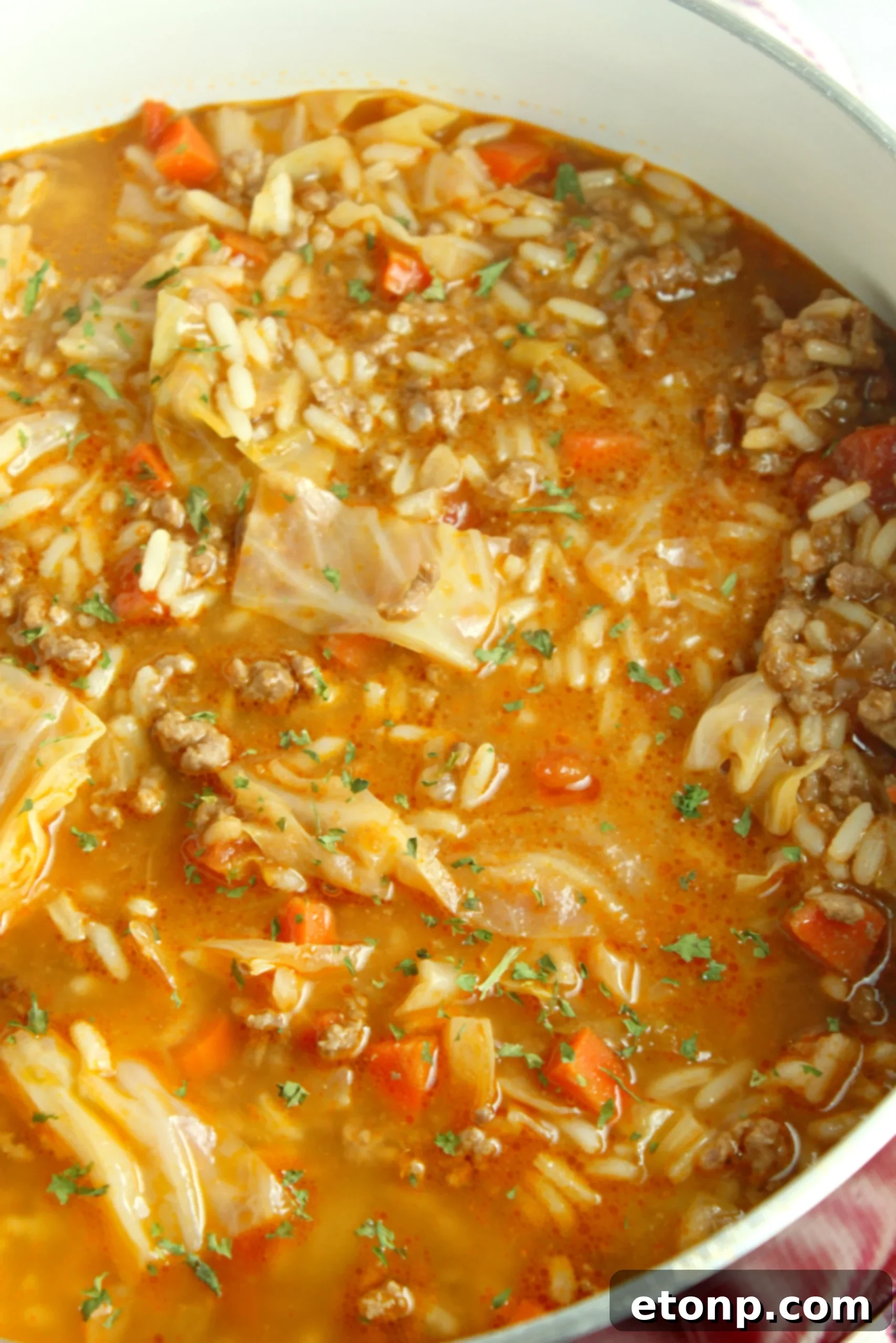 A serving of cabbage roll soup in a white bowl, garnished with fresh herbs and ready to be enjoyed.