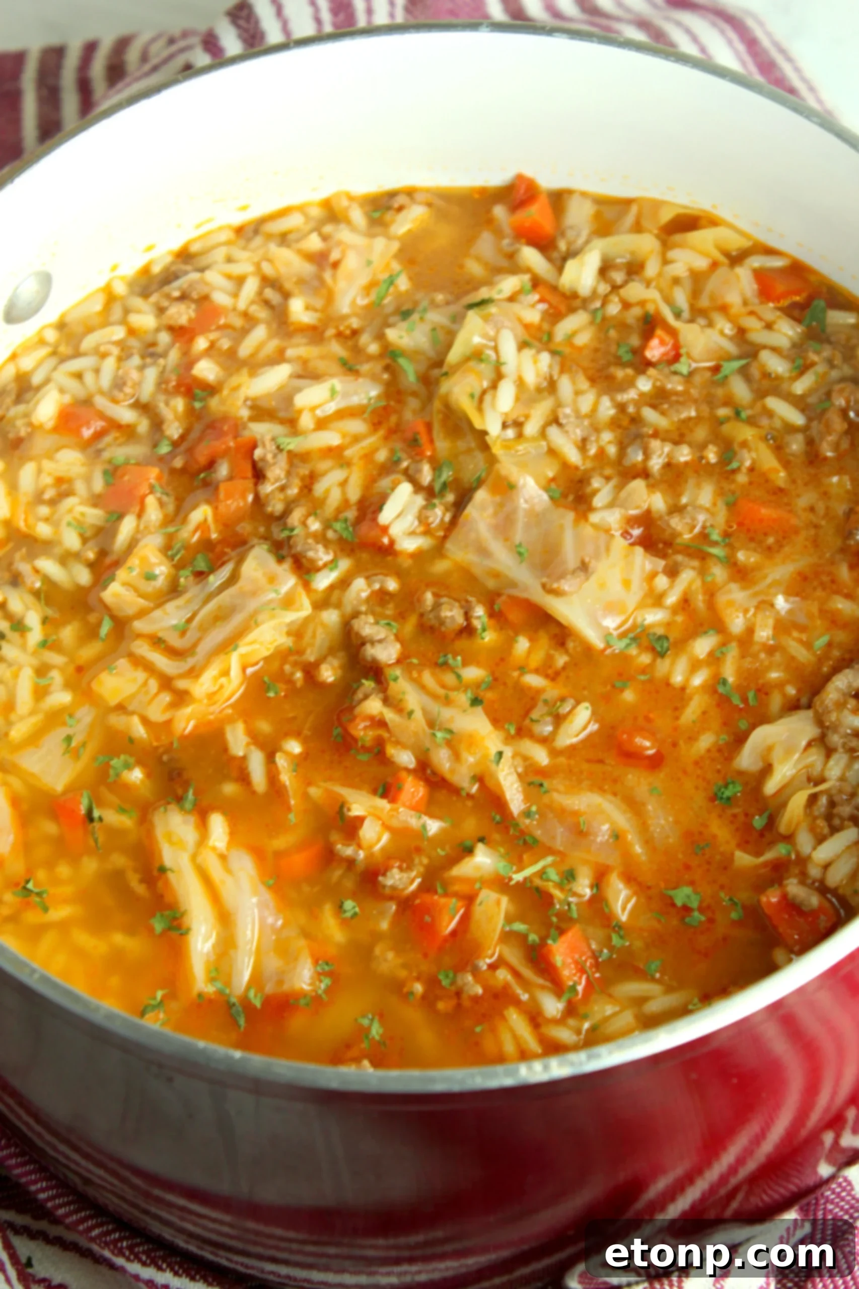Another perspective of the delicious cabbage roll soup, showing its rich and chunky texture.