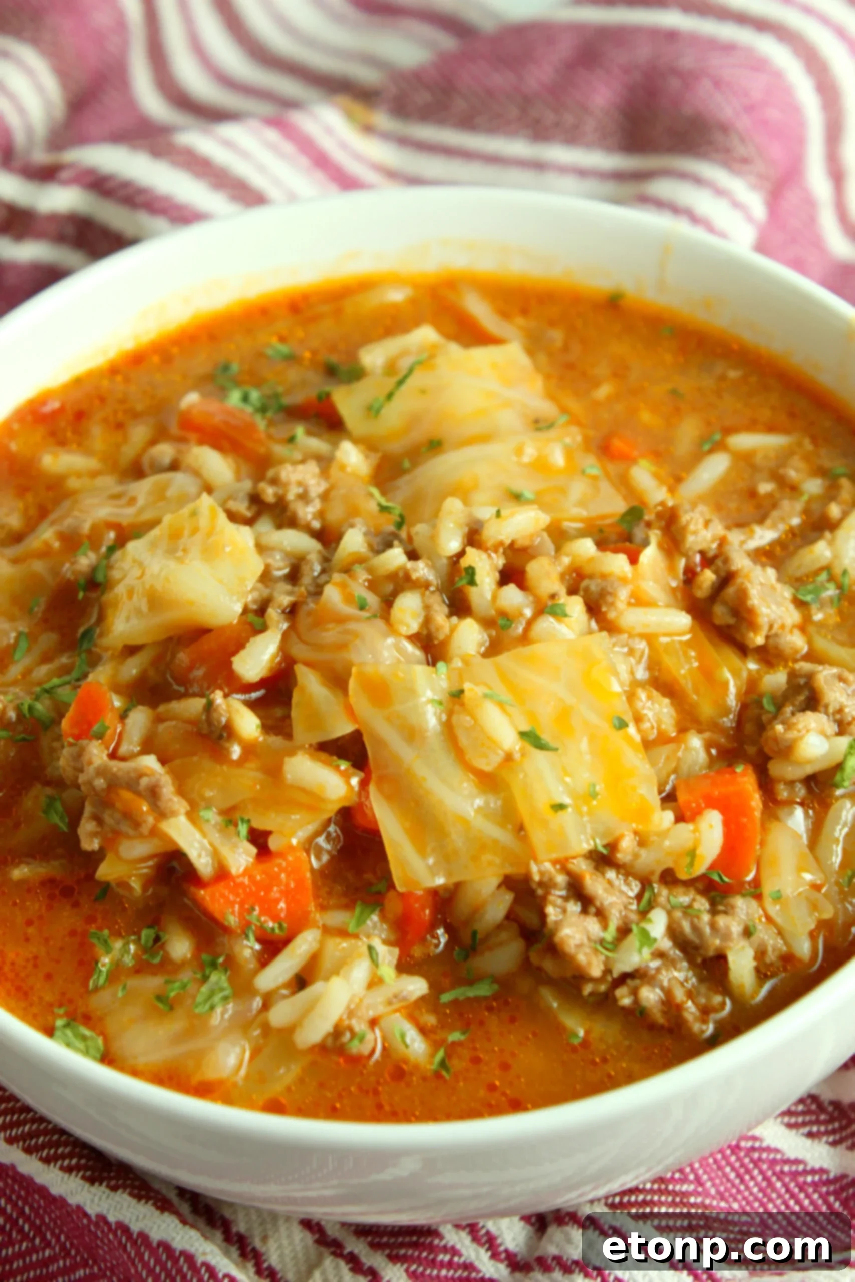 Freshly chopped parsley and grated cheese as suggested toppings for cabbage roll soup.