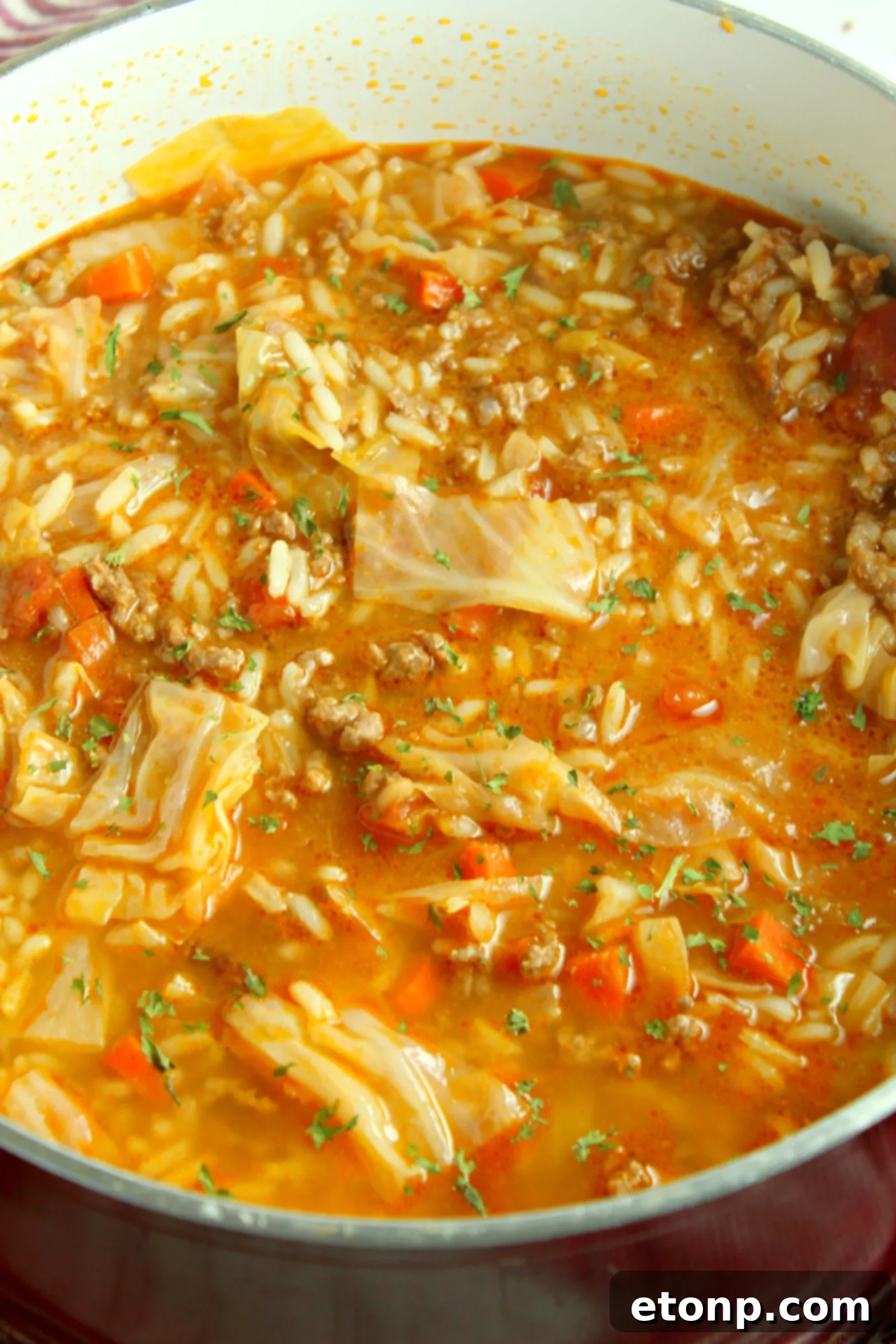 A close-up of the delicious cabbage roll soup, highlighting its rich texture and savory appeal.