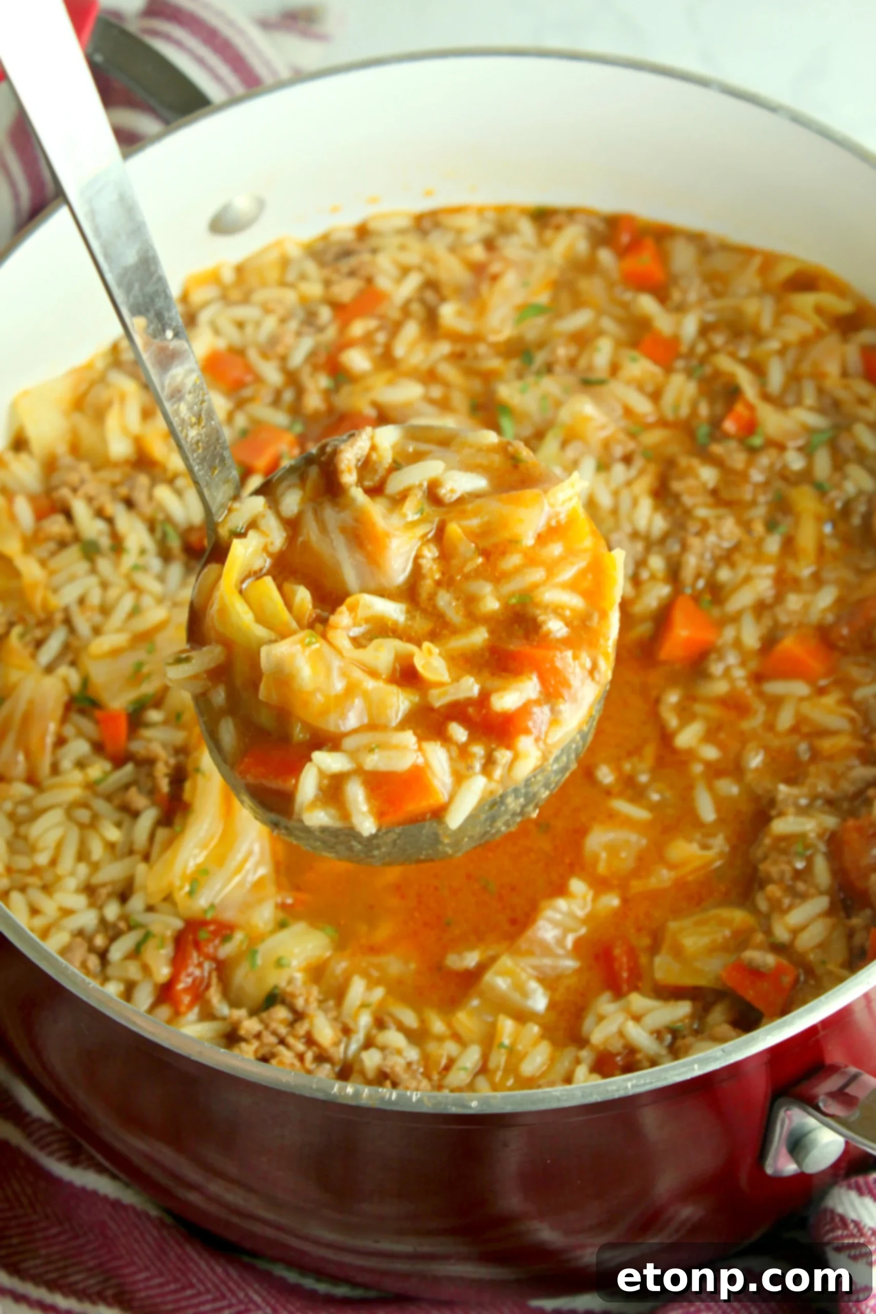 Delicious cabbage roll soup topped with fresh herbs and a spoon, ready to serve and savor.