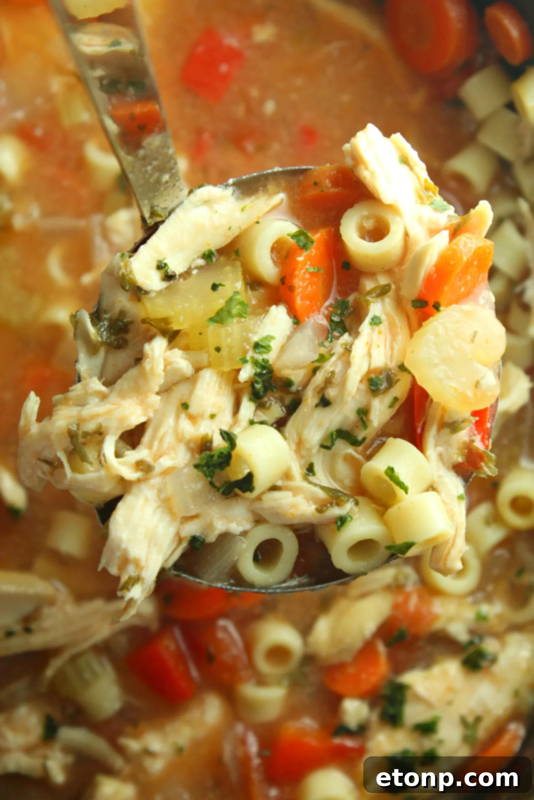 Close-up of fresh vegetables and chicken breasts being placed into a slow cooker for Sicilian Chicken Soup