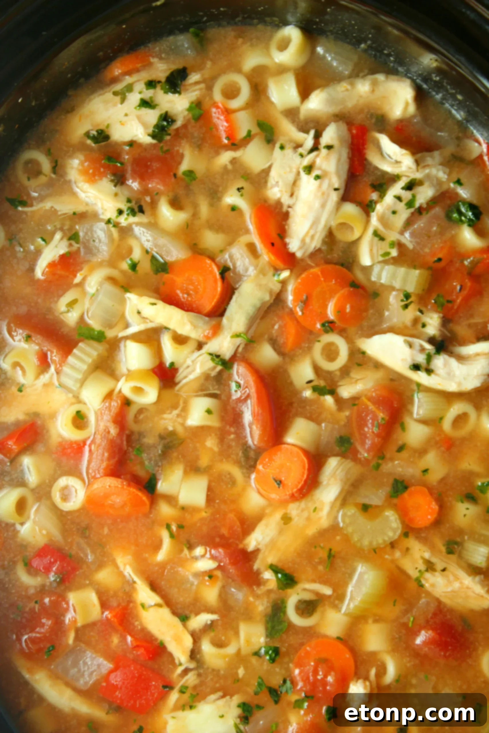 A steaming bowl of traditional Sicilian Chicken Soup garnished with fresh basil leaves