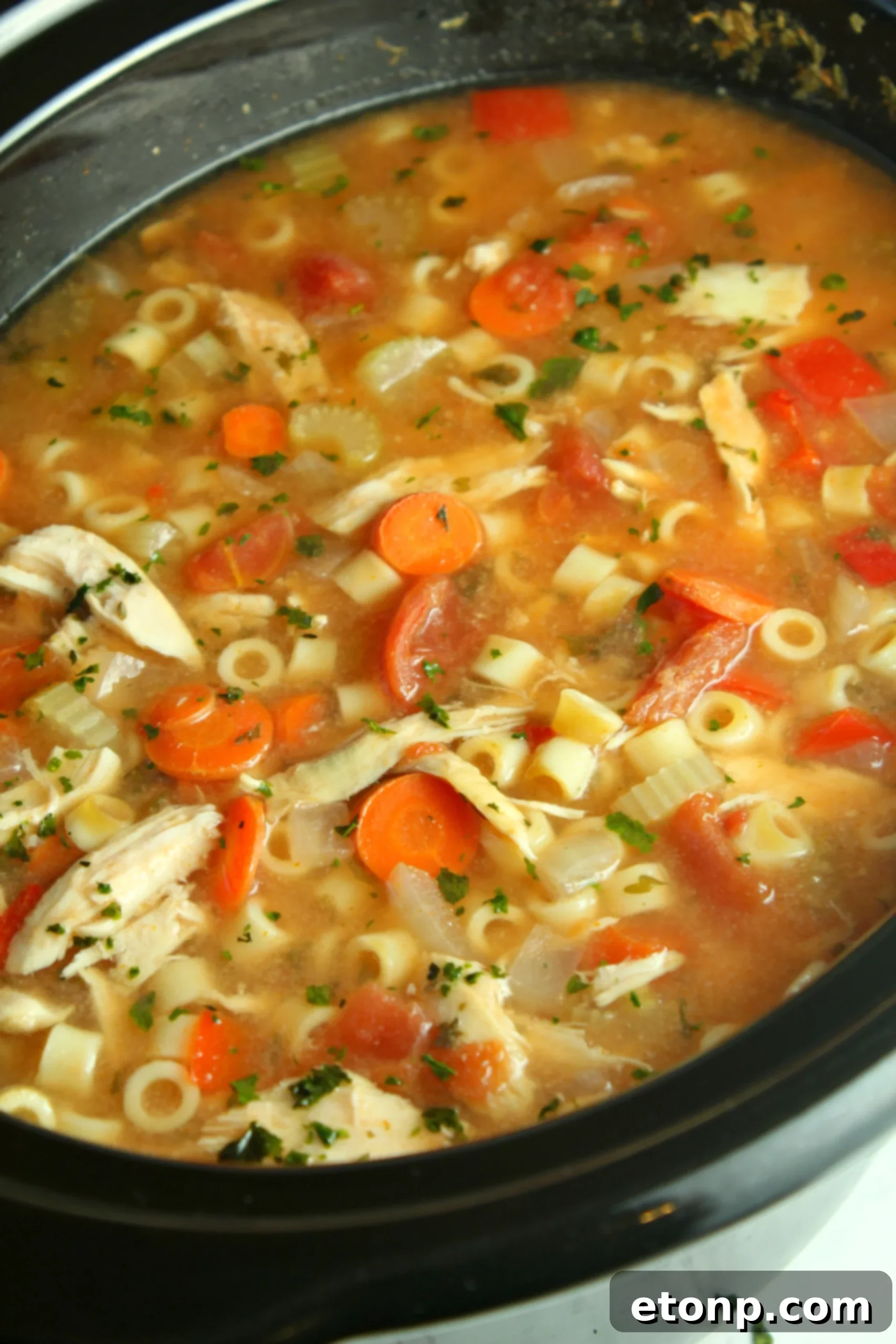 Close-up of a serving of Sicilian Chicken Soup, showing shredded chicken, vegetables, and ditalini pasta
