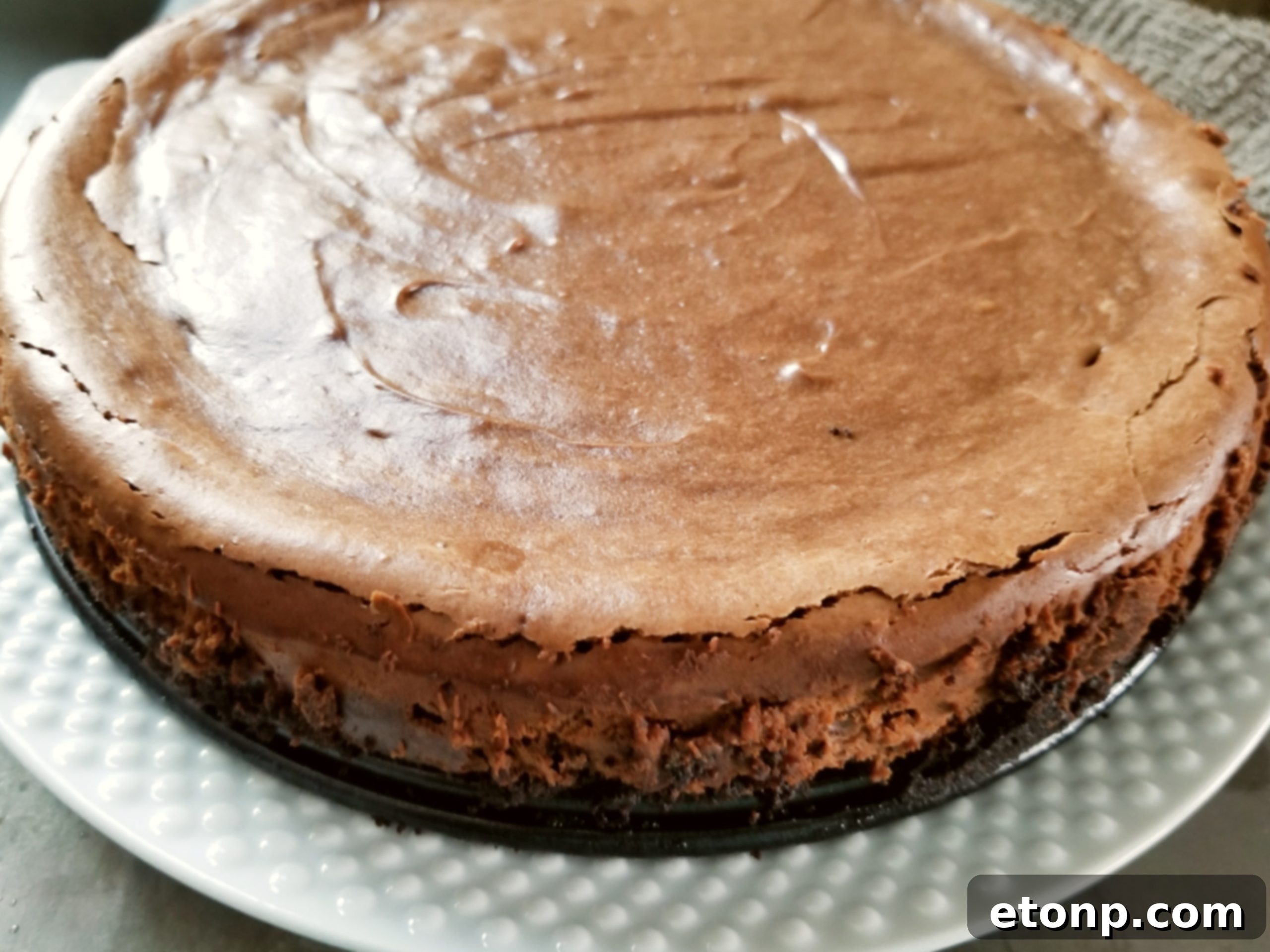 Close-up of a slice of Bailey's Chocolate Cheesecake showing its rich chocolate color and creamy texture.