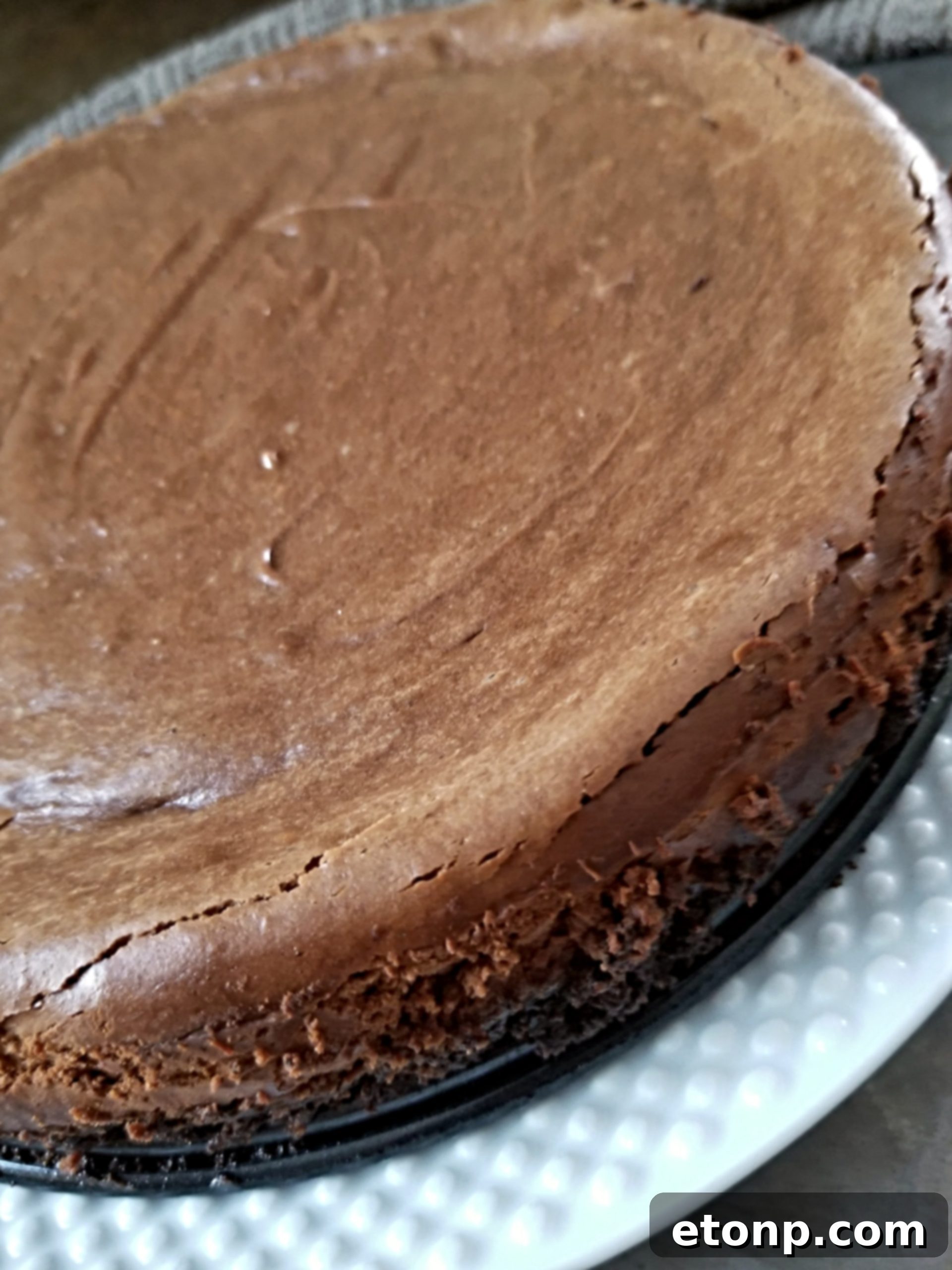 A final close-up of the cheesecake, looking rich and ready to be enjoyed.