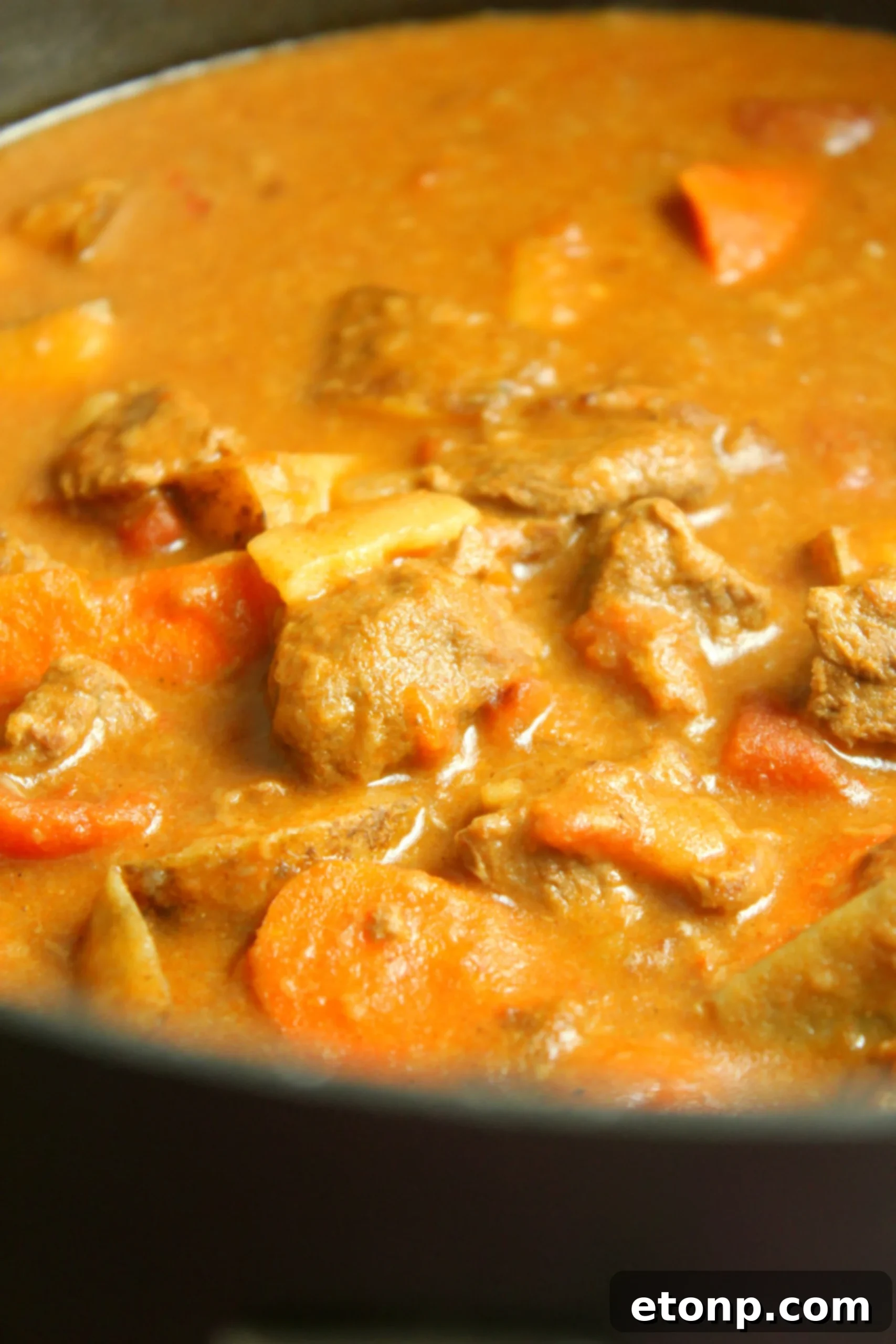 A close-up shot of Hungarian Goulash, showcasing the rich, thick sauce and tender pieces of beef and vegetables, ready to be served.