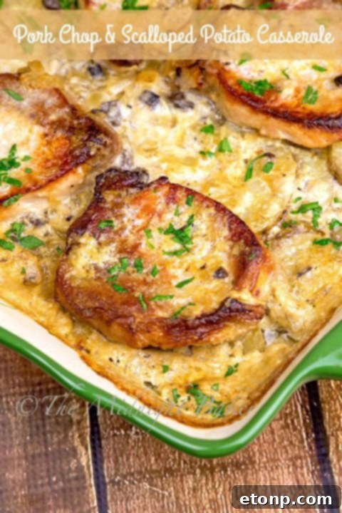 Pork Chops and Scalloped Potatoes Casserole - comforting baked dish