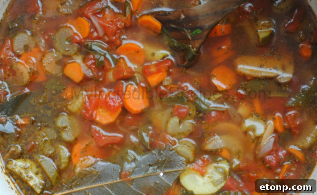 Close-up view of a spoon scooping out hearty vegetable and chicken soup from a bowl, highlighting the rich texture and ingredients.