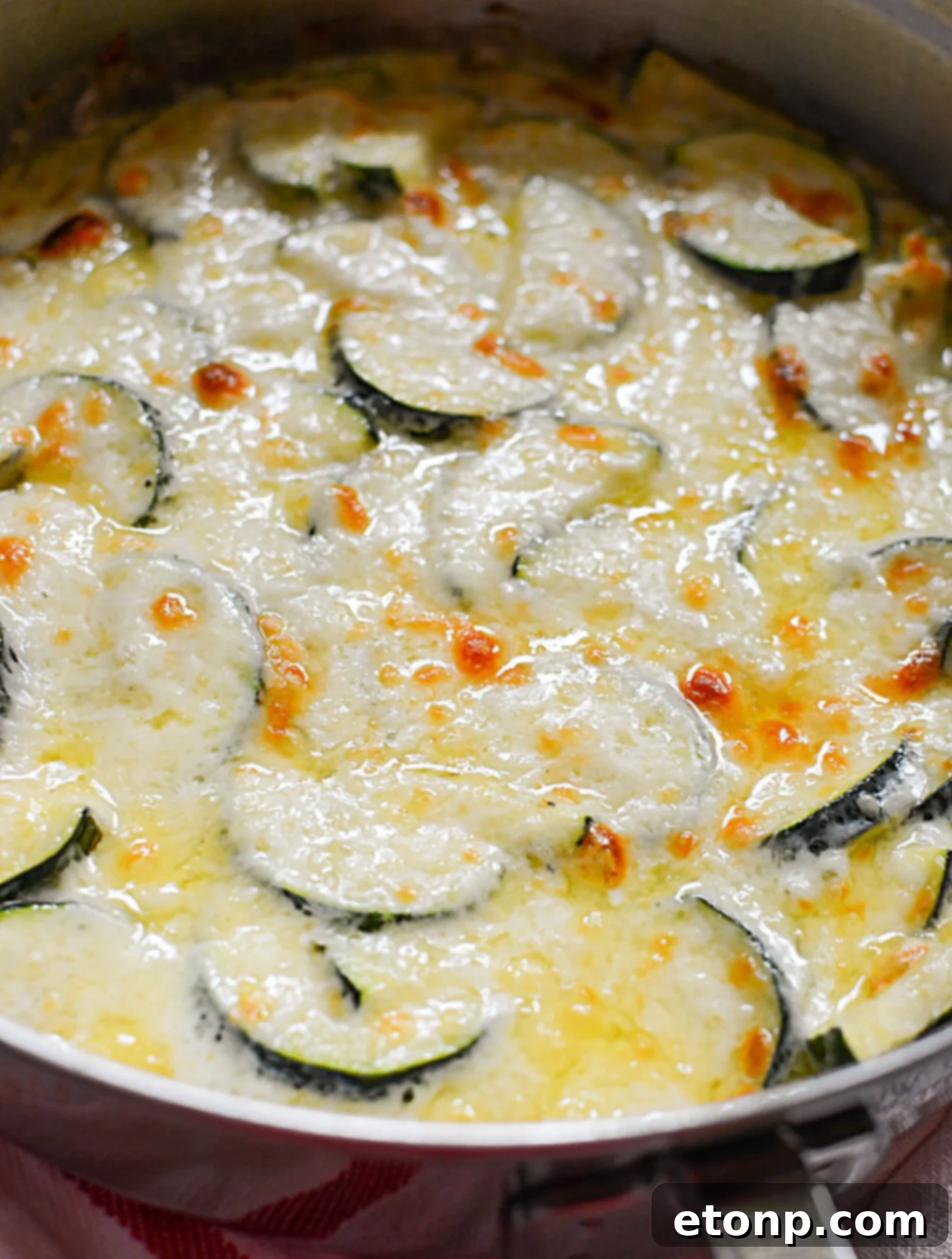 Another perspective of the cheesy zucchini gratin in the pan, highlighting the perfectly melted, bubbly cheese on top and the golden crust around the edges.
