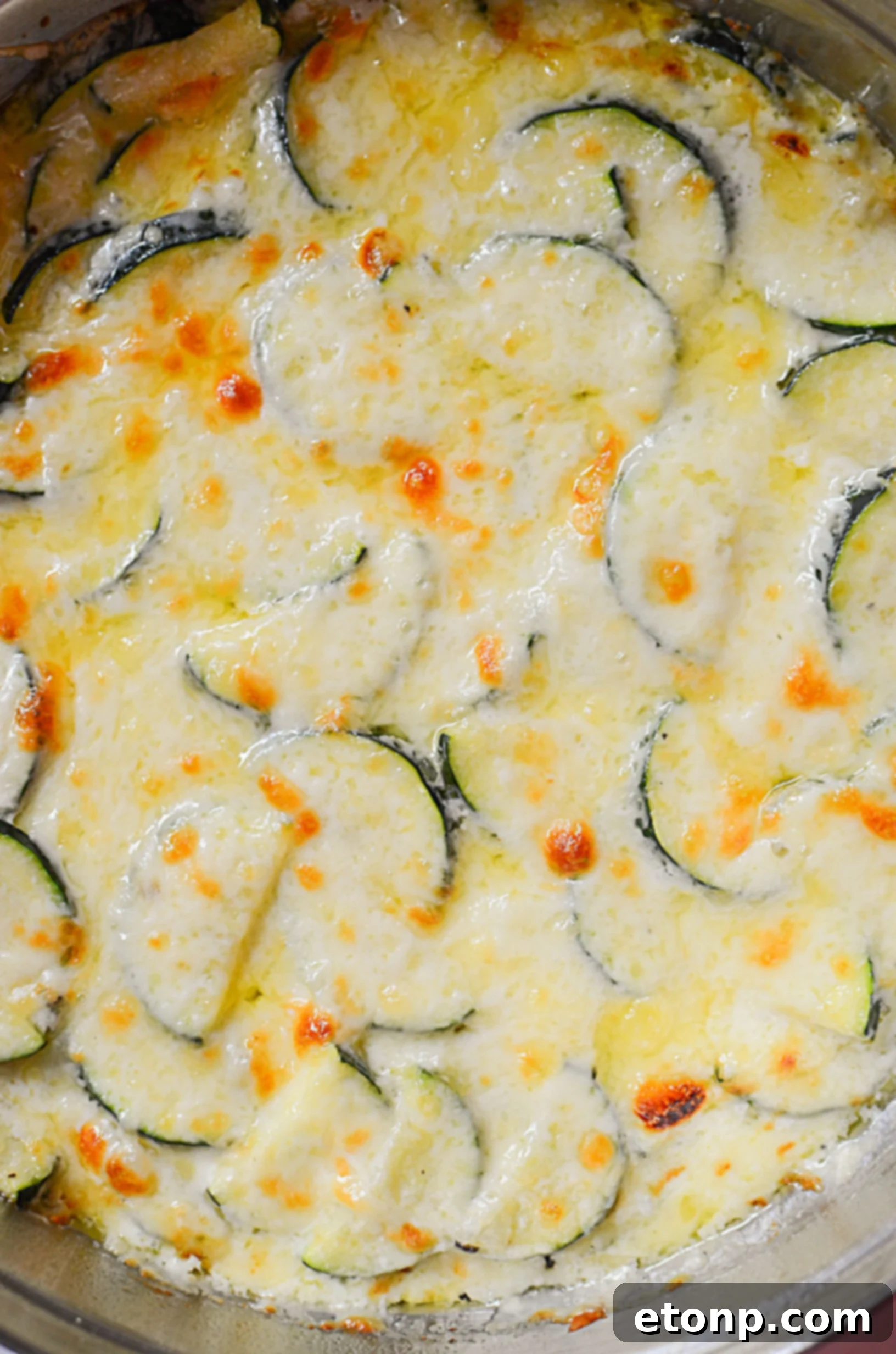 Close-up of a serving of creamy zucchini gratin on a white plate, showing the rich, inviting texture and melted cheese.