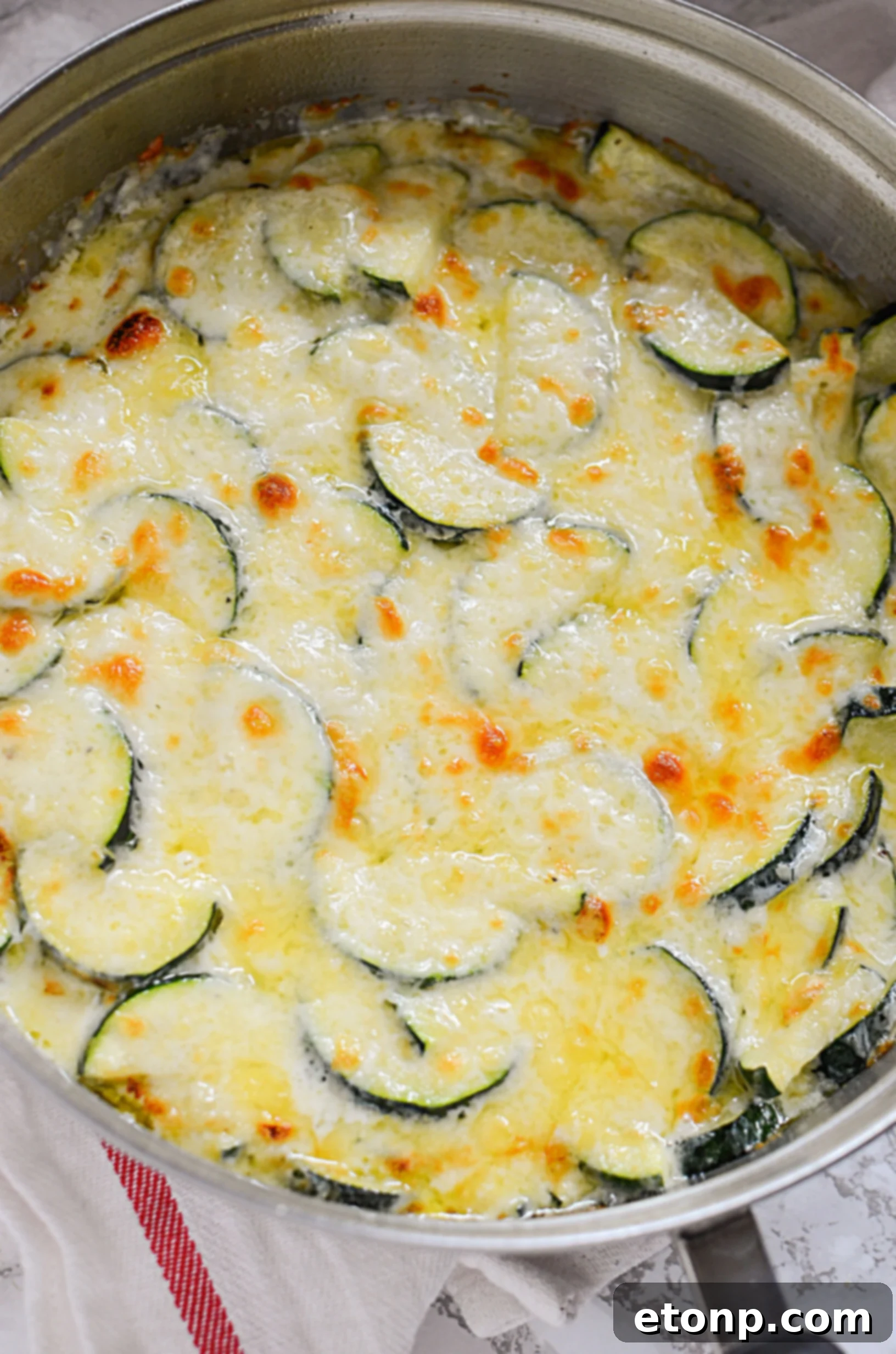Final plated serving of cheesy zucchini gratin, emphasizing its inviting appeal and delicious texture, ready to be enjoyed.