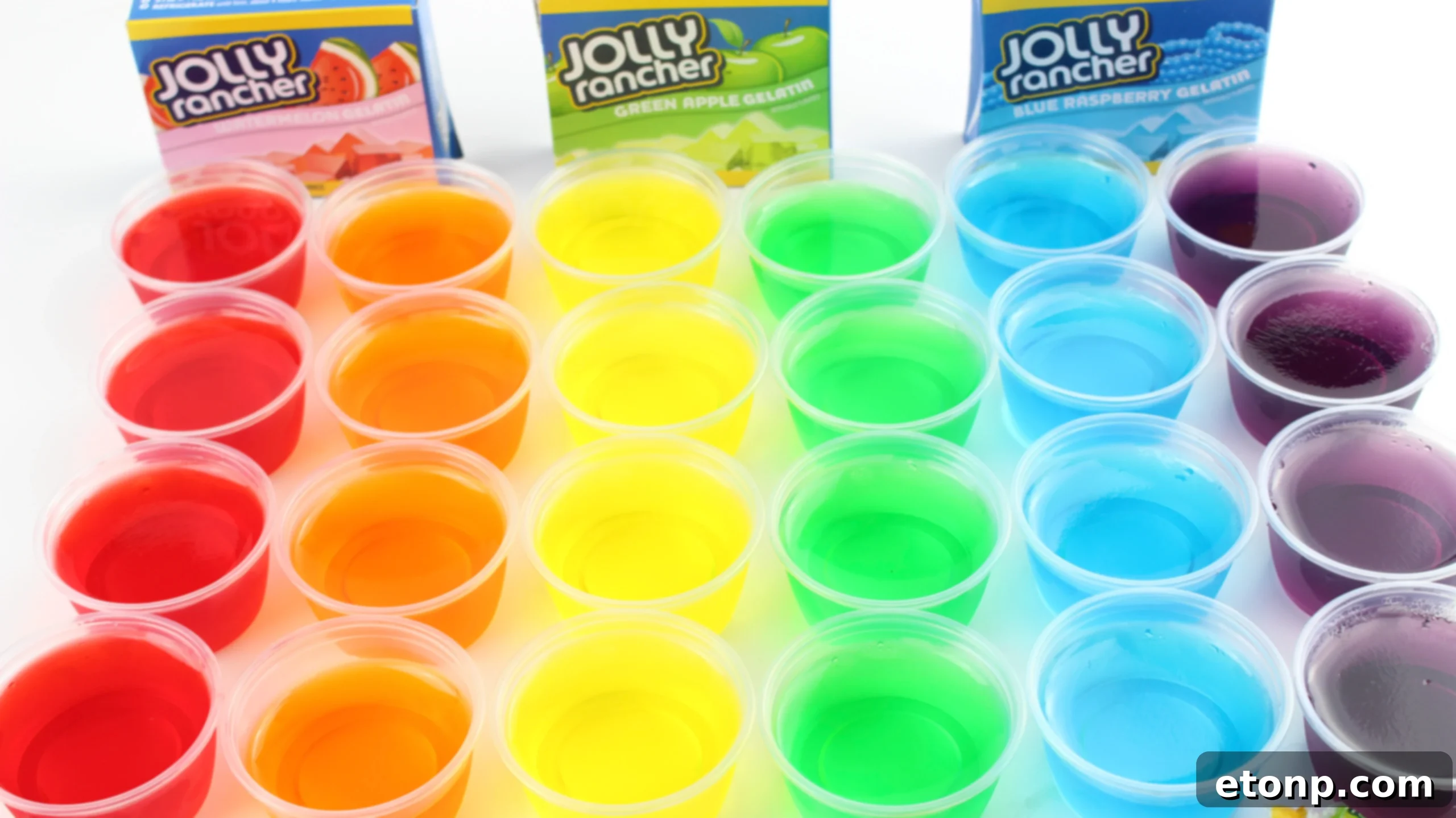A vibrant selection of Jello Shots arranged aesthetically, highlighting their diverse colors