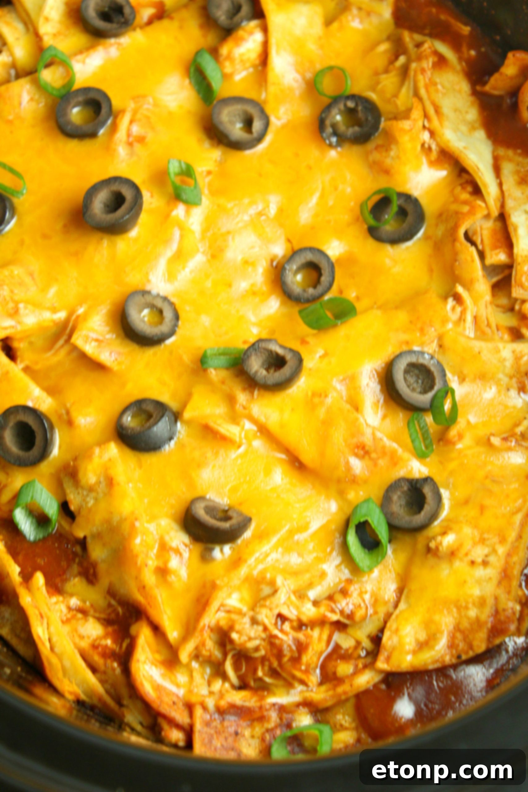 Close-up of the Slow Cooker Chicken Enchilada Casserole showing the golden-brown melted cheese topping