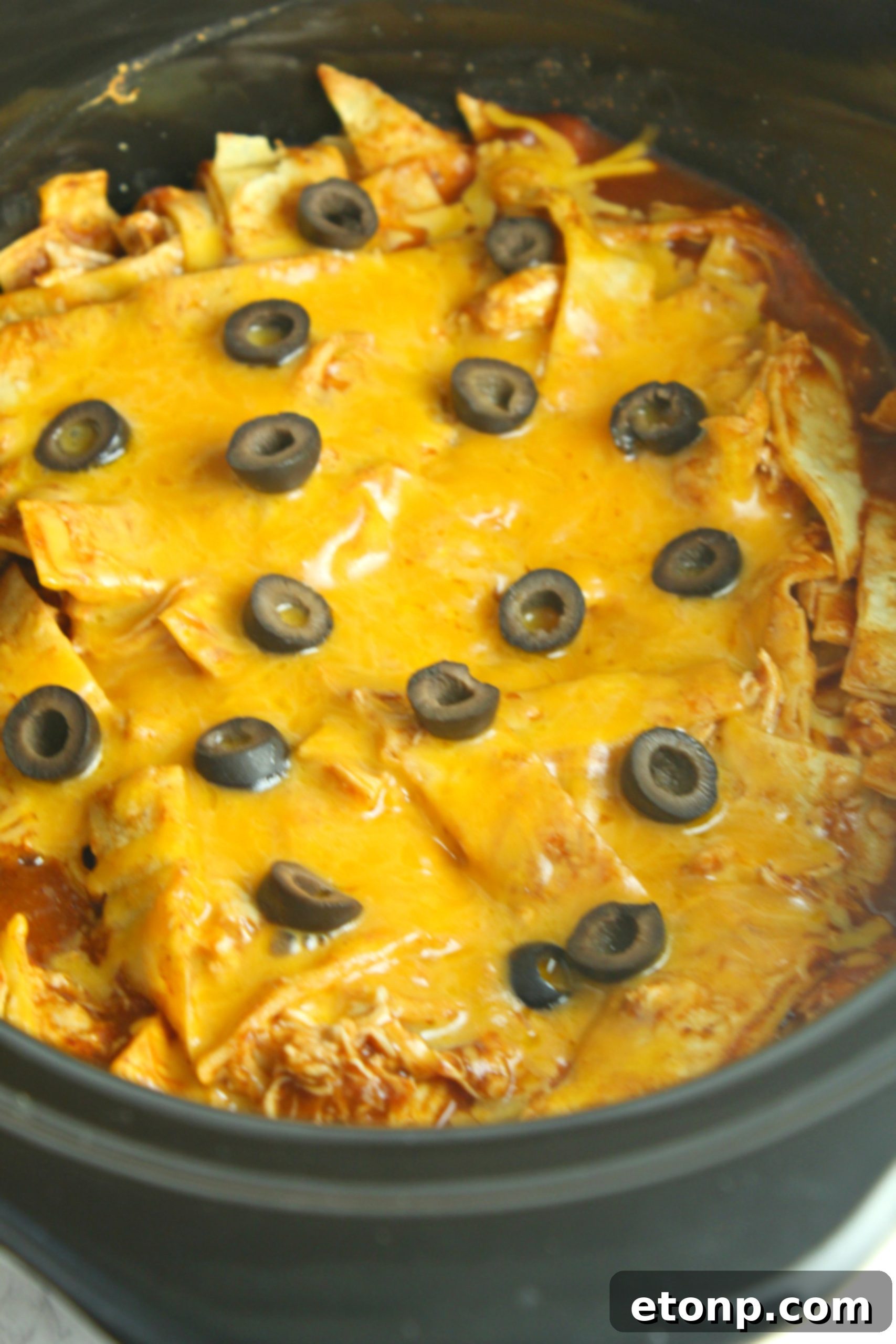 Ingredients for Slow Cooker Chicken Enchilada Casserole laid out: chicken, enchilada sauce, tortillas, beans, corn, onion, cheese, and olives