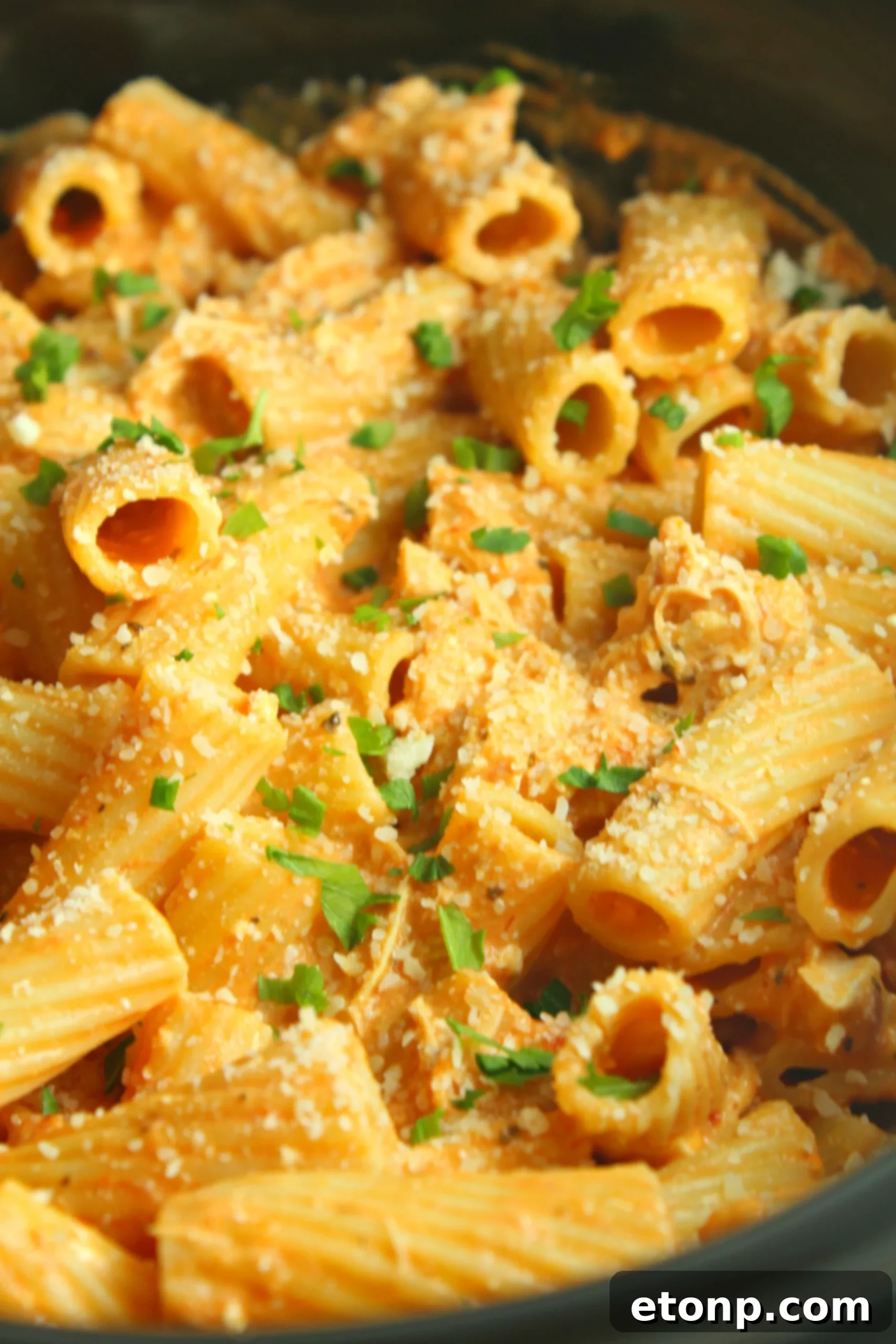 Top down view of a large serving of creamy chicken rigatoni