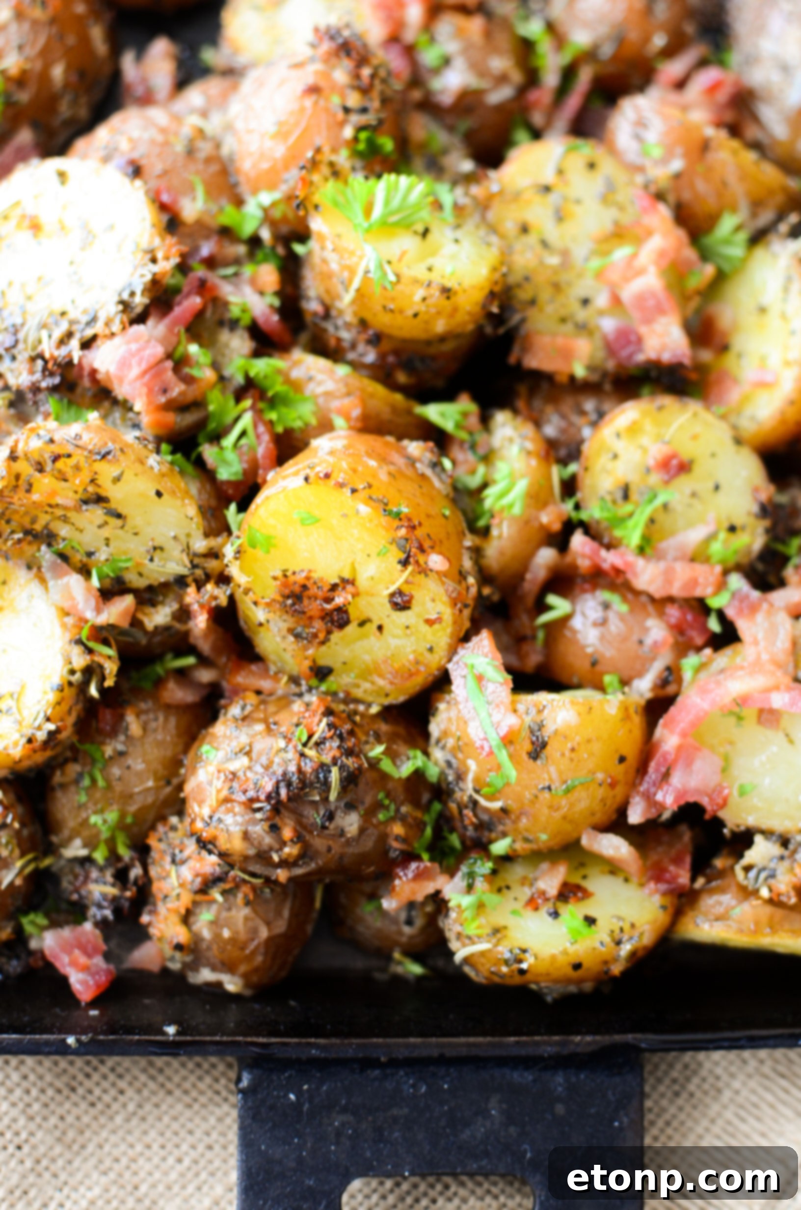 Serving of Parmesan Crusted Roasted Potatoes on a plate, showcasing their golden crust and fluffy interior, ready for a meal.