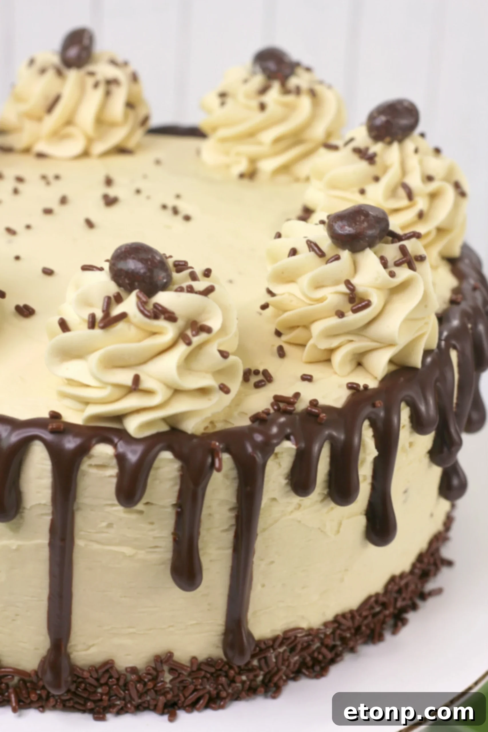 Full Kahlua Chocolate Layered Cake on a stand