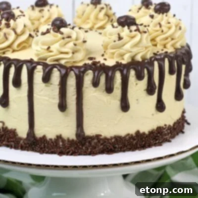 Kahlua Chocolate Layered Cake featured recipe image