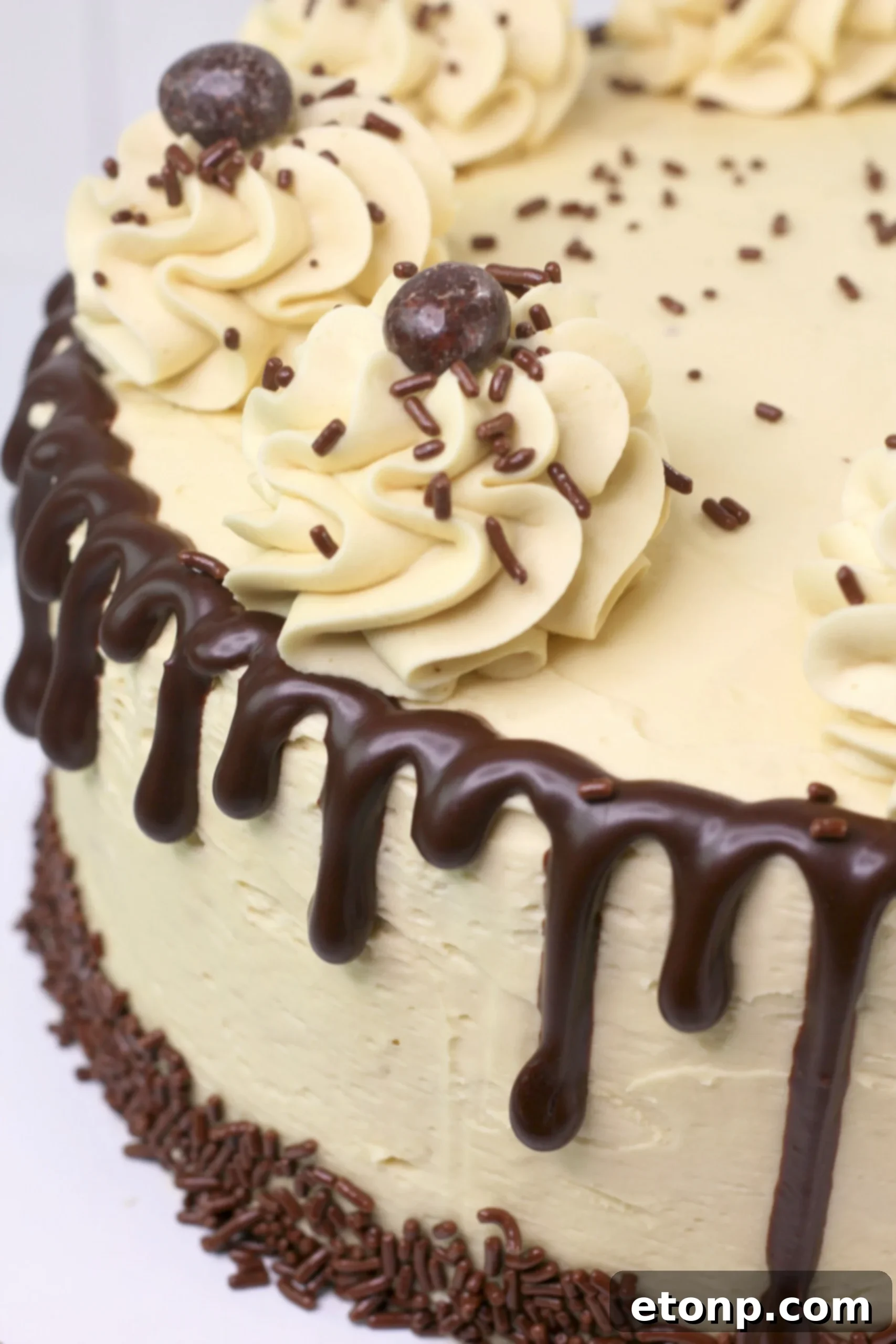 Close-up of Kahlua Chocolate Layered Cake slice