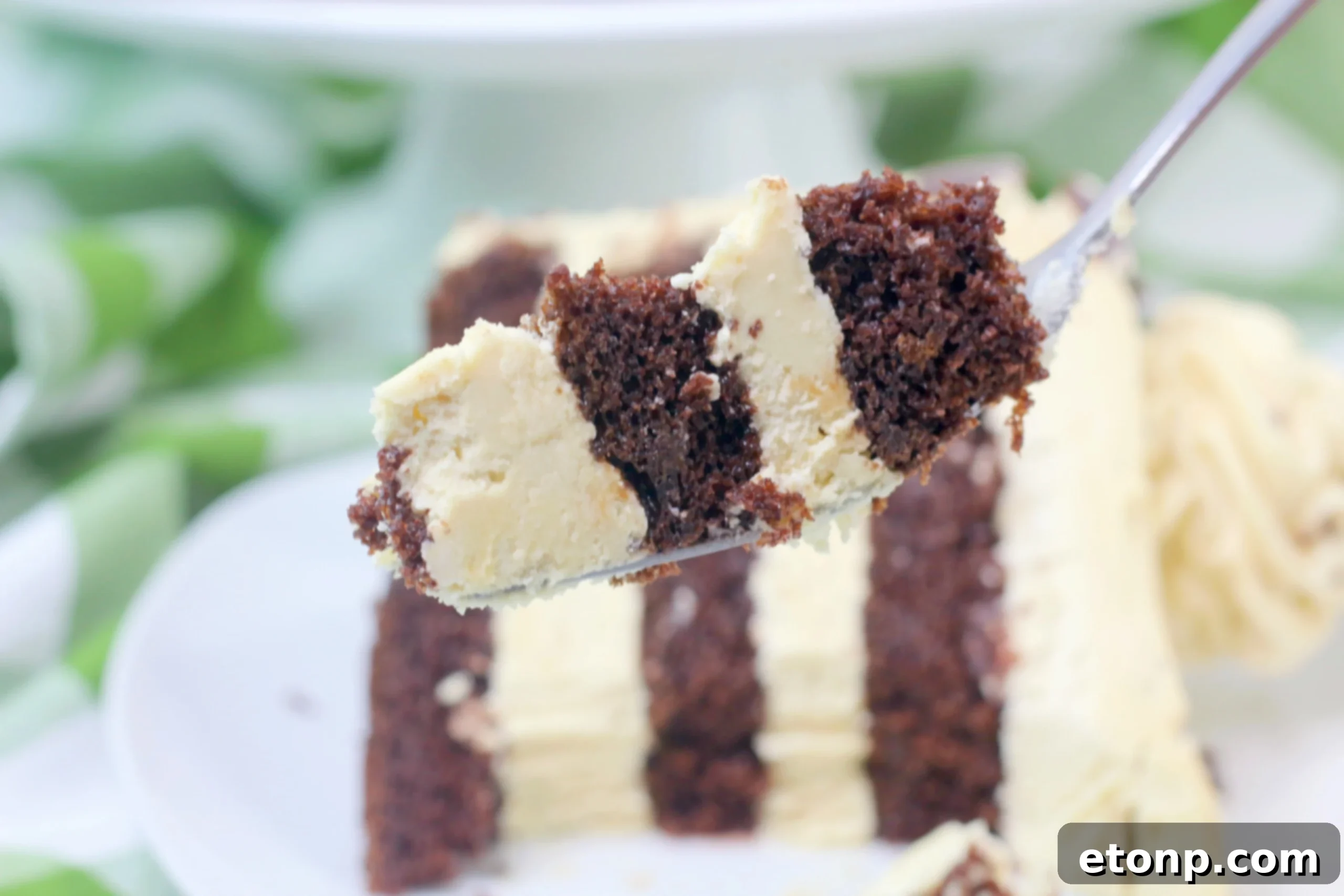 Kahlua Chocolate Layered Cake served on a plate