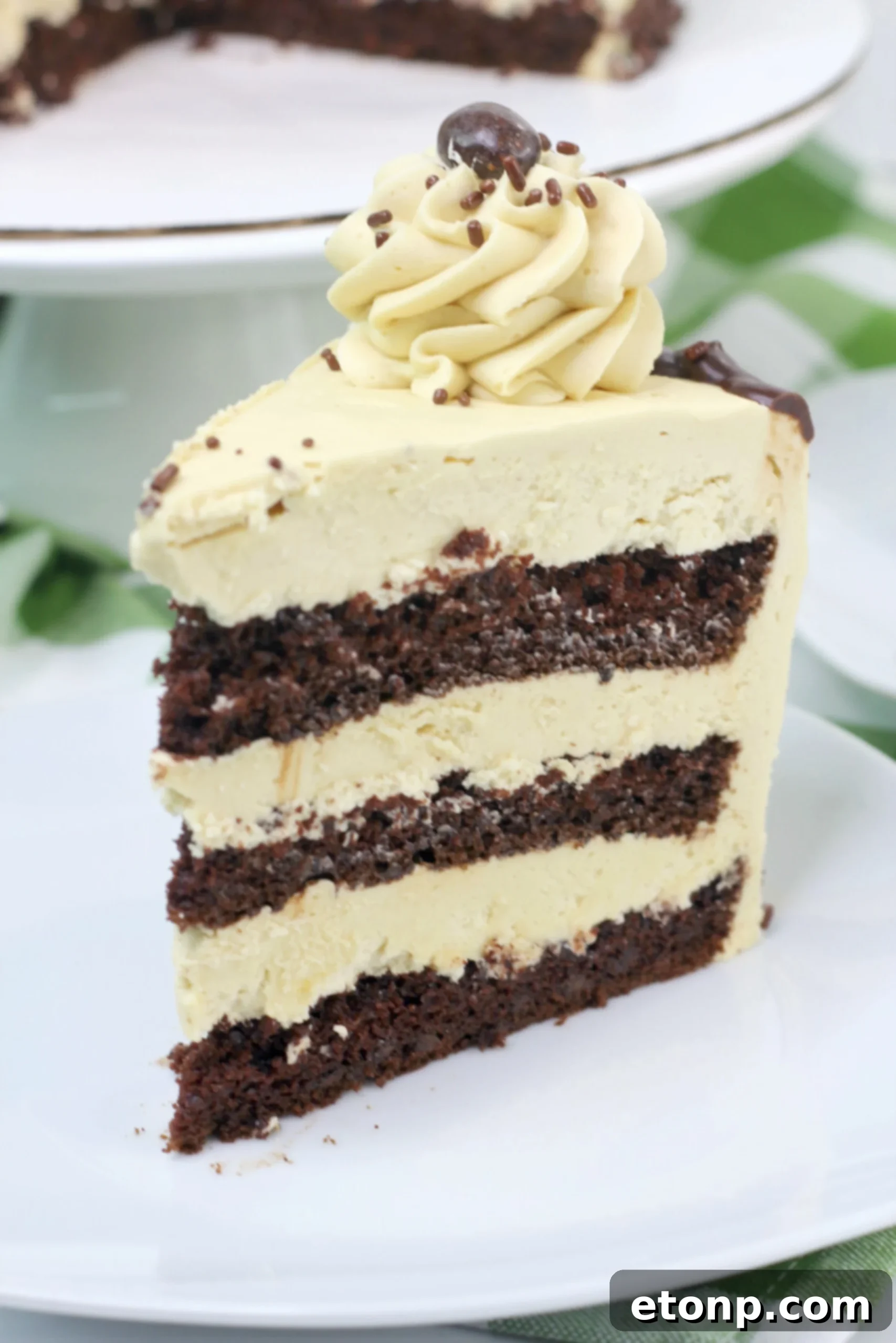 Kahlua Chocolate Cake with rich frosting