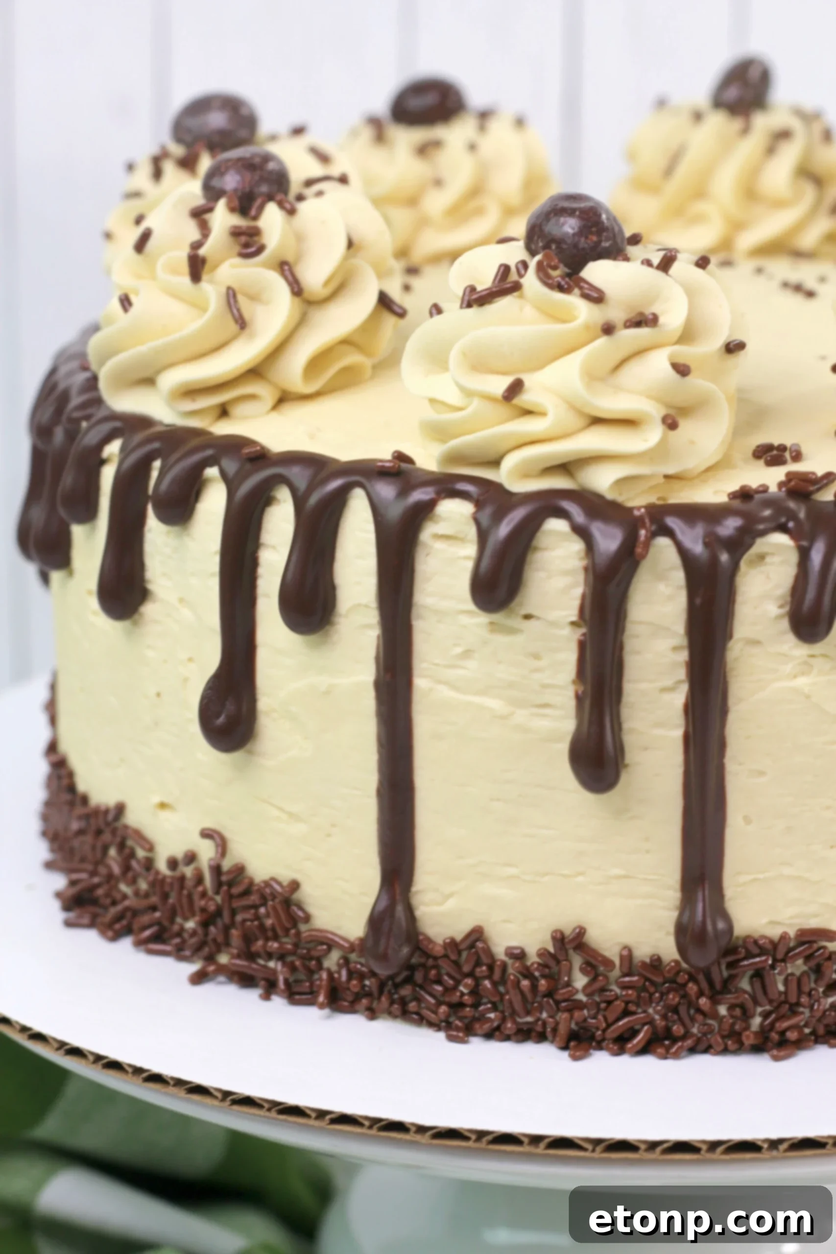 Top view of Kahlua Chocolate Layered Cake
