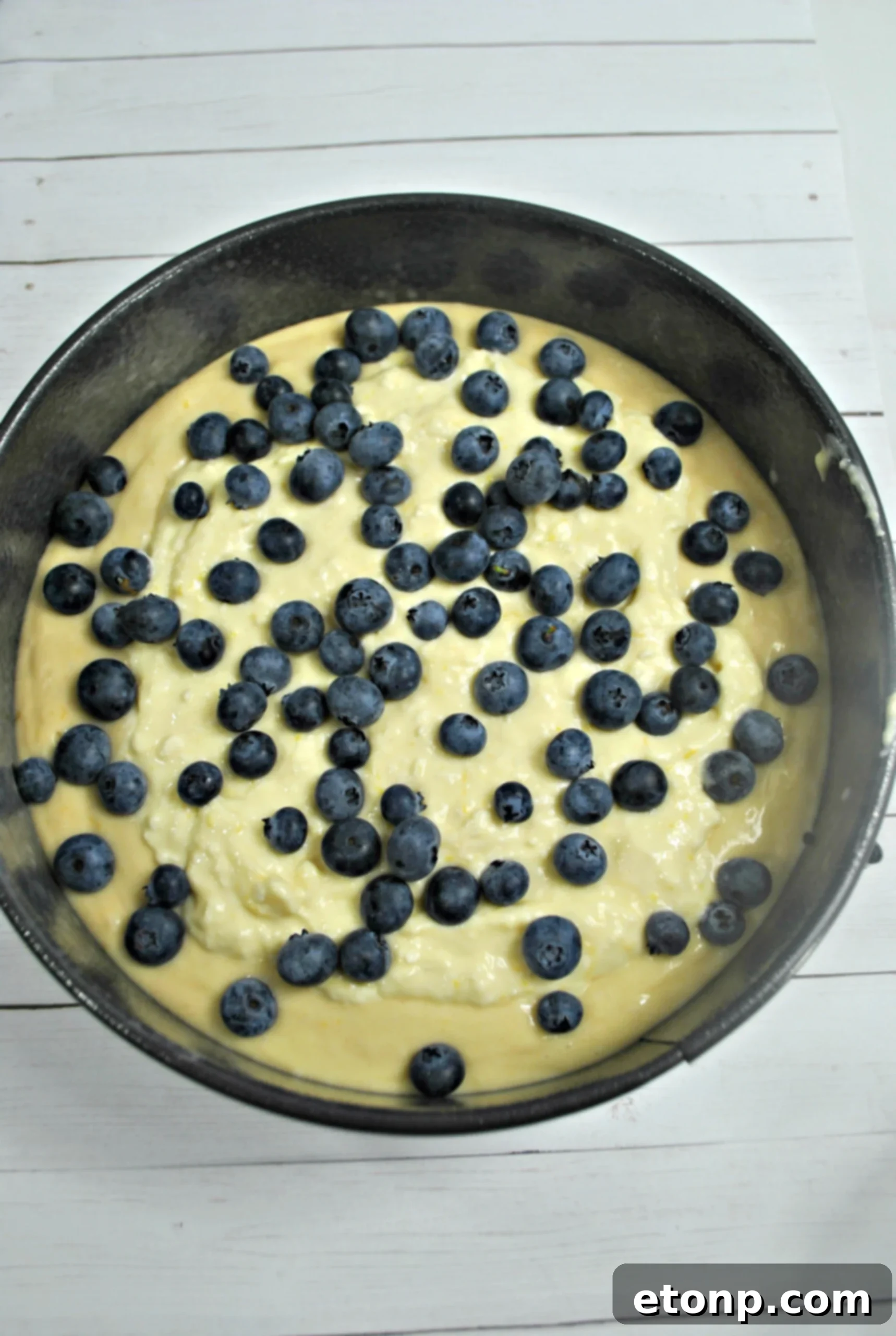 A close-up of the moist interior of the Blueberry Cream Cheese Coffee Cake, showcasing the layers of cake, cream cheese, and blueberries.