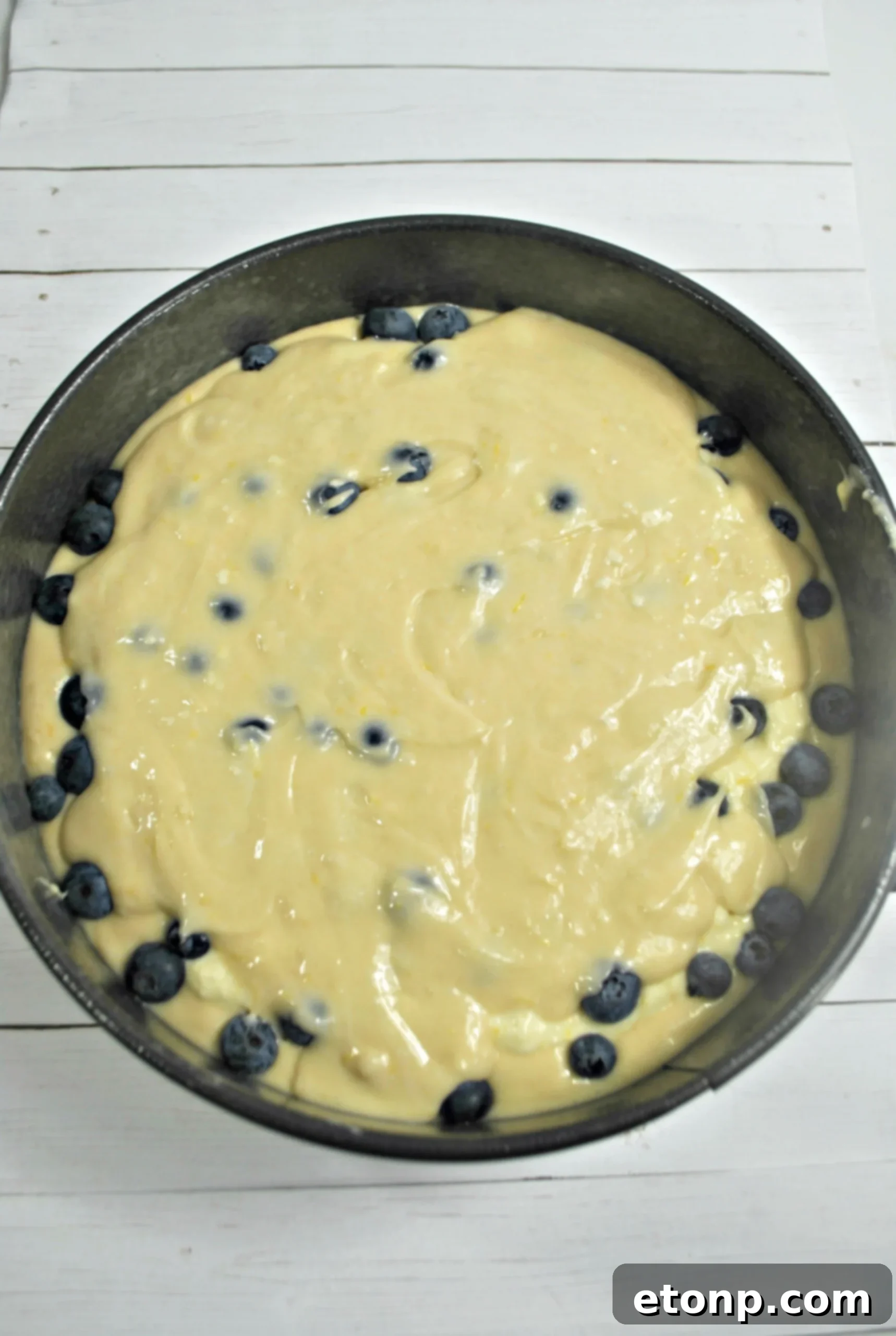 An overhead shot of the Blueberry Cream Cheese Coffee Cake, highlighting its golden streusel topping and vibrant blueberry peeks.