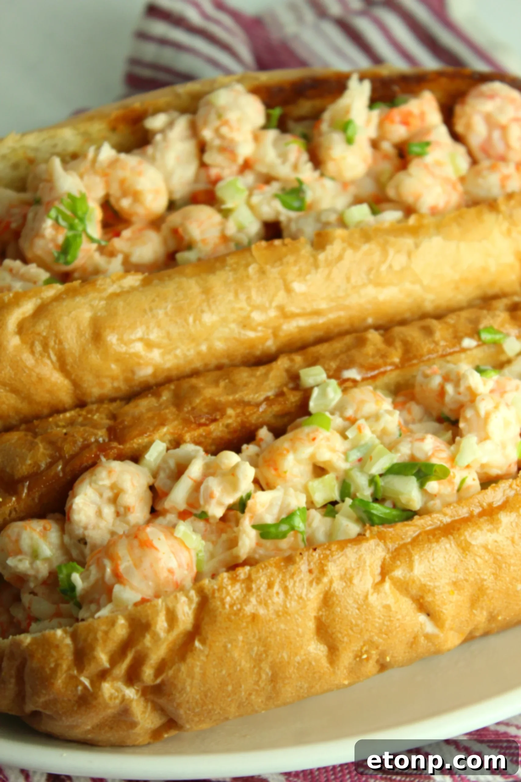 New England Lobster Roll presented with a side of crispy potato chips