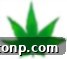 Decorative green leaf icon signaling a recipe