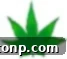 Small decorative green leaf separating sections
