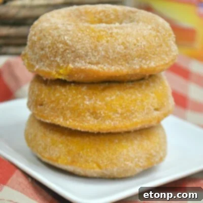 A perfectly baked pumpkin spice donut with a sugar coating