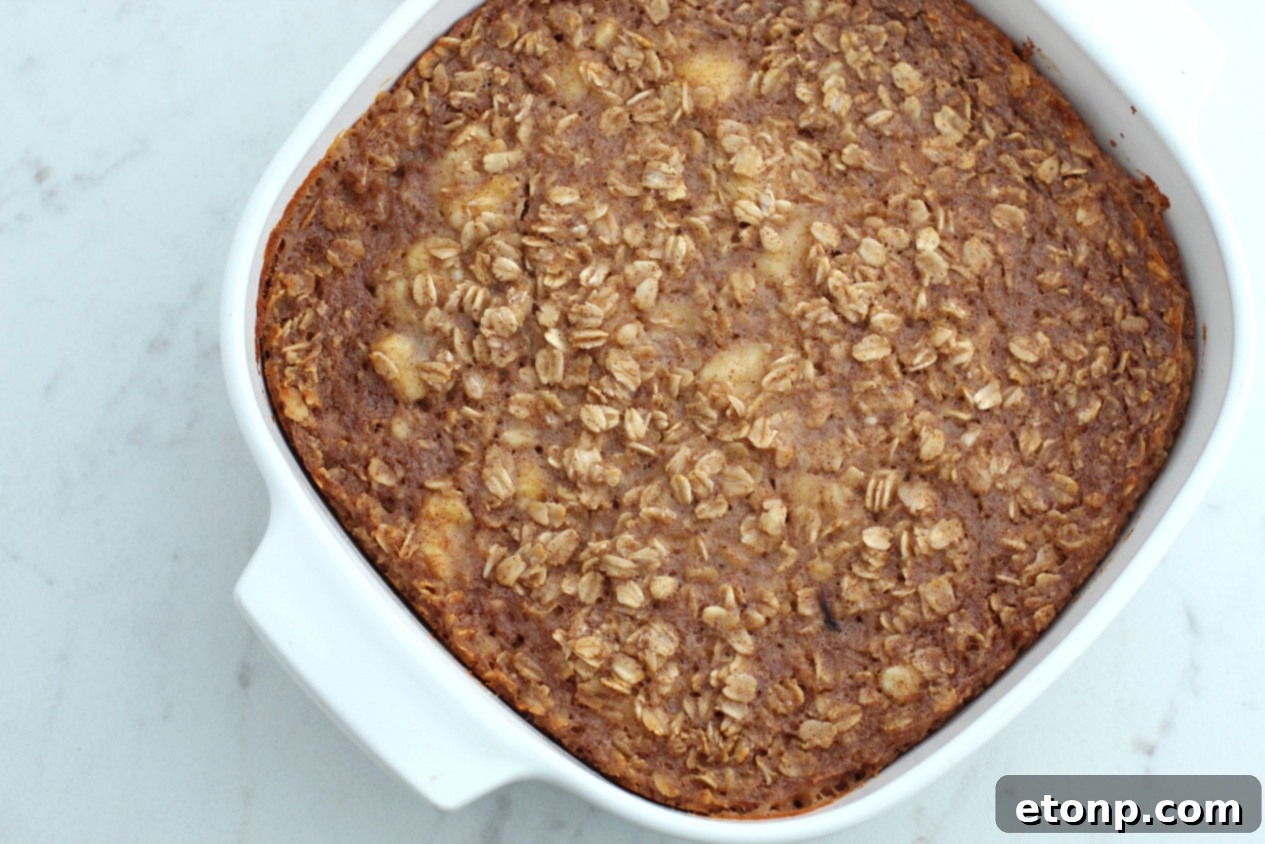 Chewy Banana Bread Oatmeal Bars 4 A perfectly cut slice of banana bread oatmeal bar, revealing its moist interior and integrated oats.
