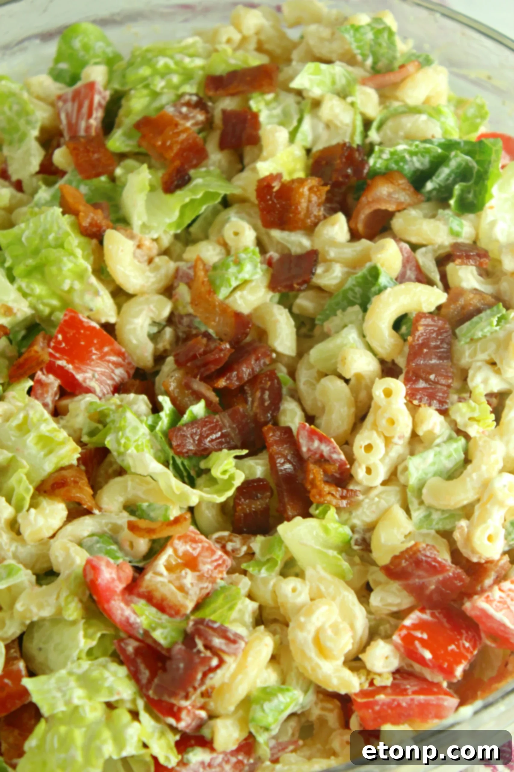 Loaded BLT Pasta Salad 2 Delicious BLT Pasta Salad, a perfect side dish for barbecues and summer gatherings, packed with bacon, lettuce, and tomato.