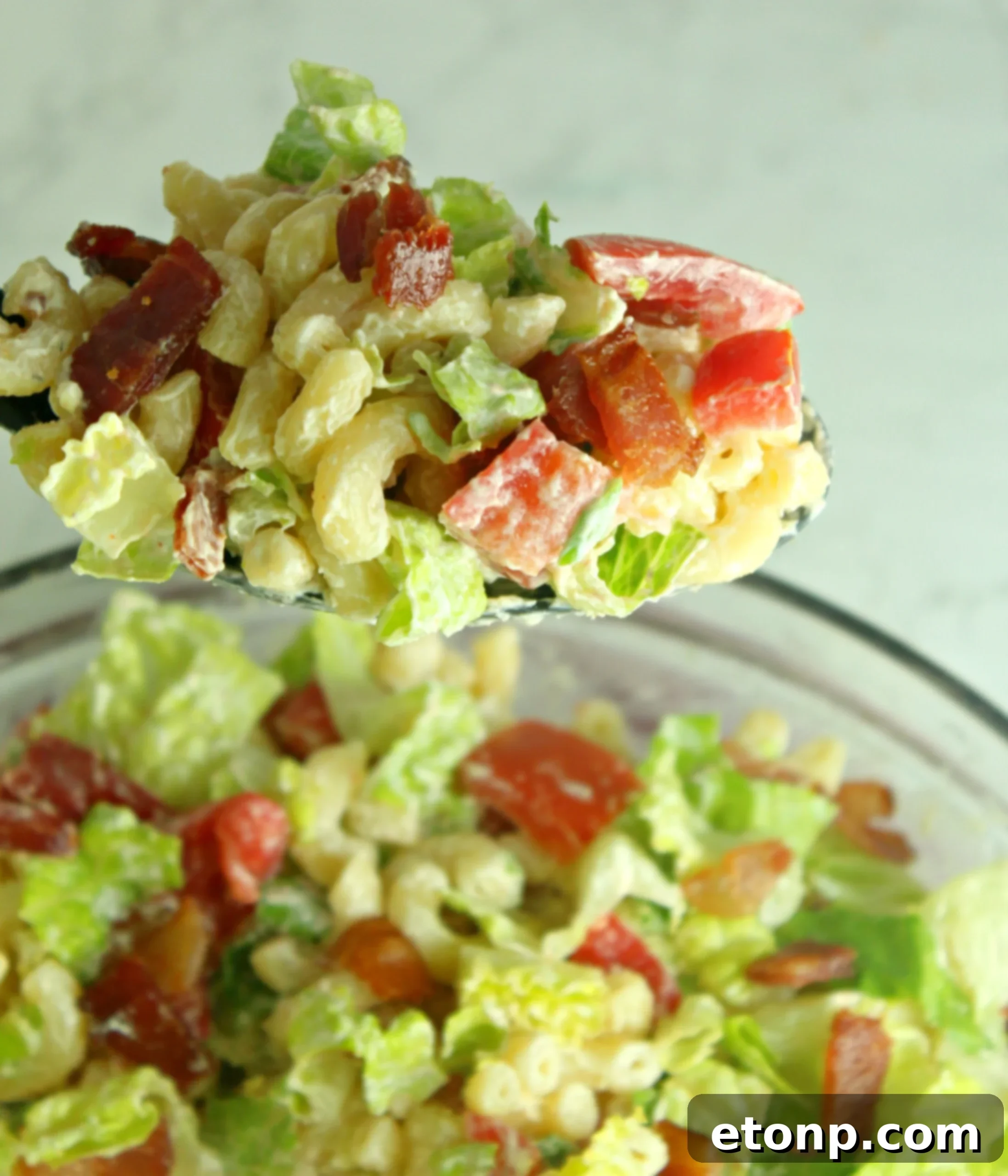 Loaded BLT Pasta Salad 10 Individual serving of BLT Pasta Salad, showing its colorful ingredients and appetizing presentation.