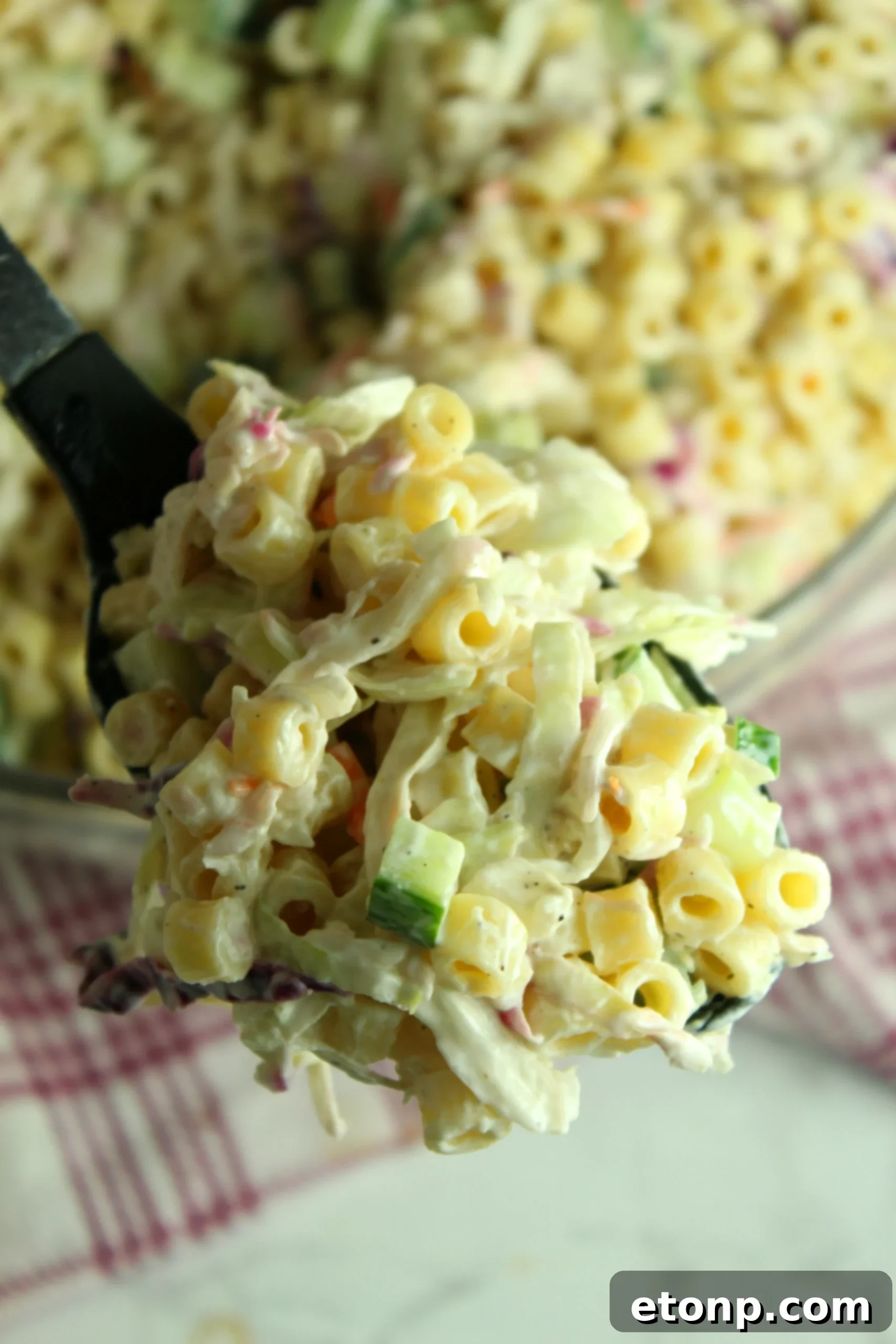 A beautiful top-down shot of Coleslaw Pasta Salad in a bowl, garnished and ready for serving, emphasizing its fresh ingredients.