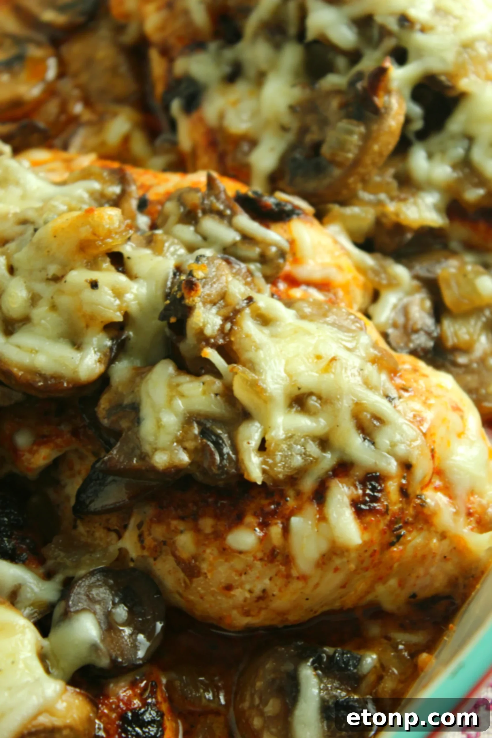 Smothered chicken breasts baked with a delicious blend of mushrooms and onions, topped with melted cheese, served hot from the oven.