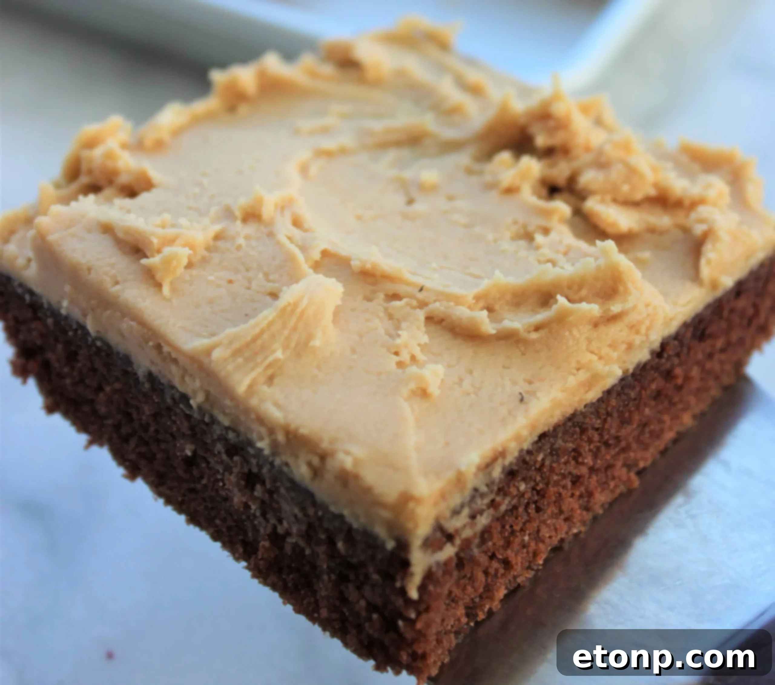 Decadent Texas Sheet Cake Peanut Butter Delight 2 Deliciously moist Texas Sheet Cake with homemade peanut butter frosting, ready to be served.