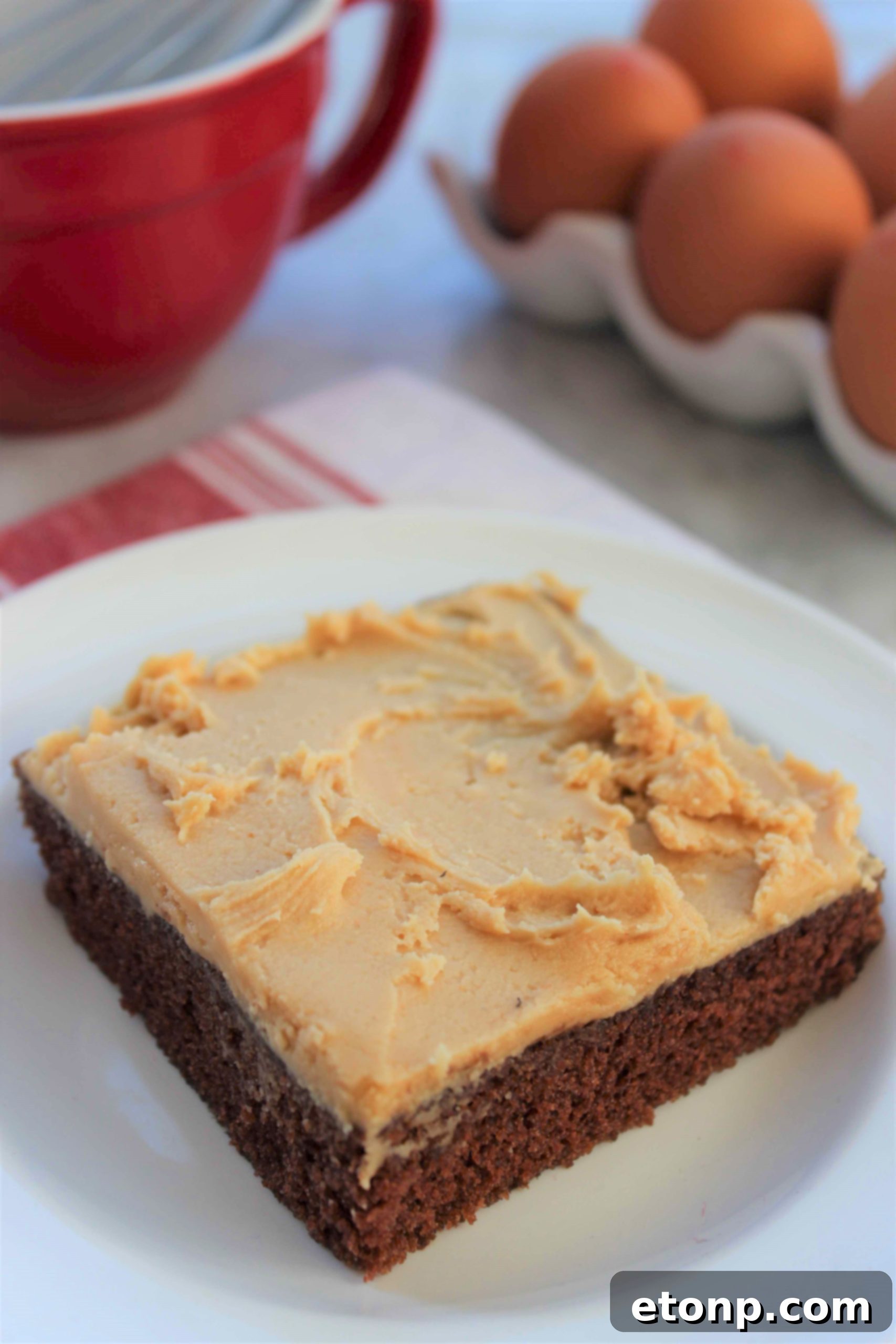 Decadent Texas Sheet Cake Peanut Butter Delight 7 Close-up of the finished Texas Sheet Cake with peanut butter frosting, showing its appealing texture.