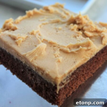 Decadent Texas Sheet Cake Peanut Butter Delight 8 Texas Sheet Cake with Peanut Butter Frosting
