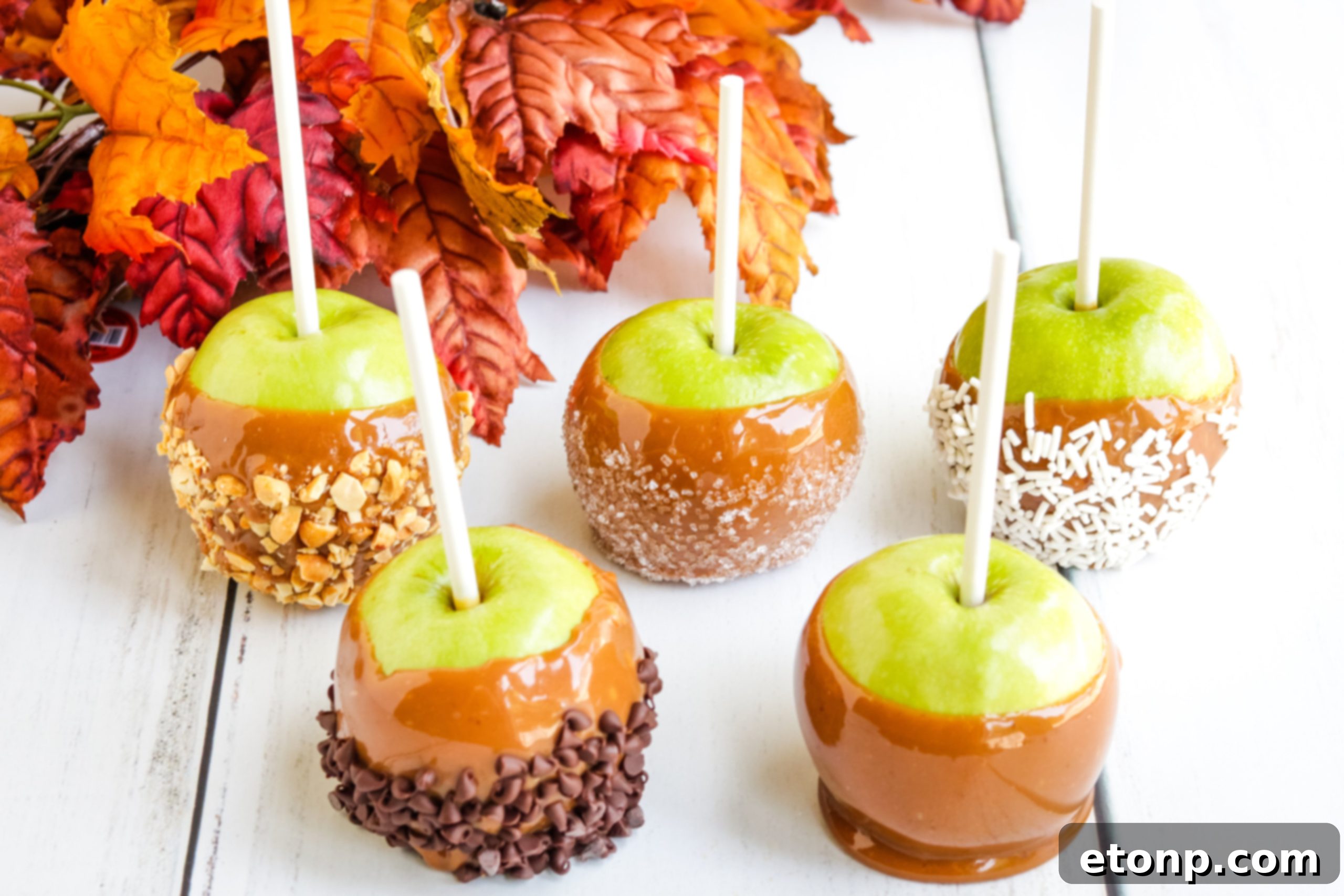 A tray of freshly made caramel apples, ready for additional toppings