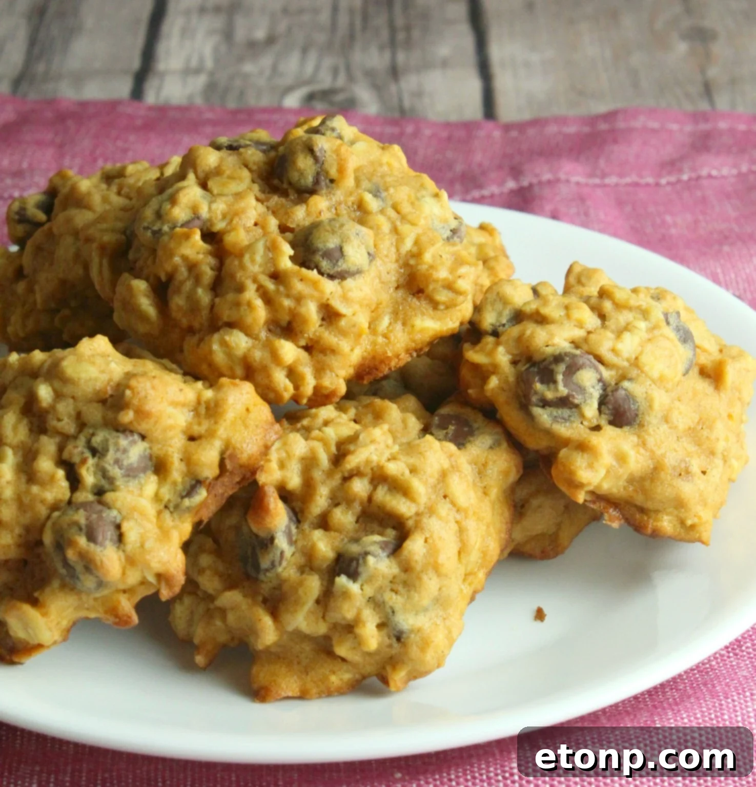 Close-up of freshly baked Pumpkin Oatmeal Chocolate Chip Cookies with chocolate chips visible
