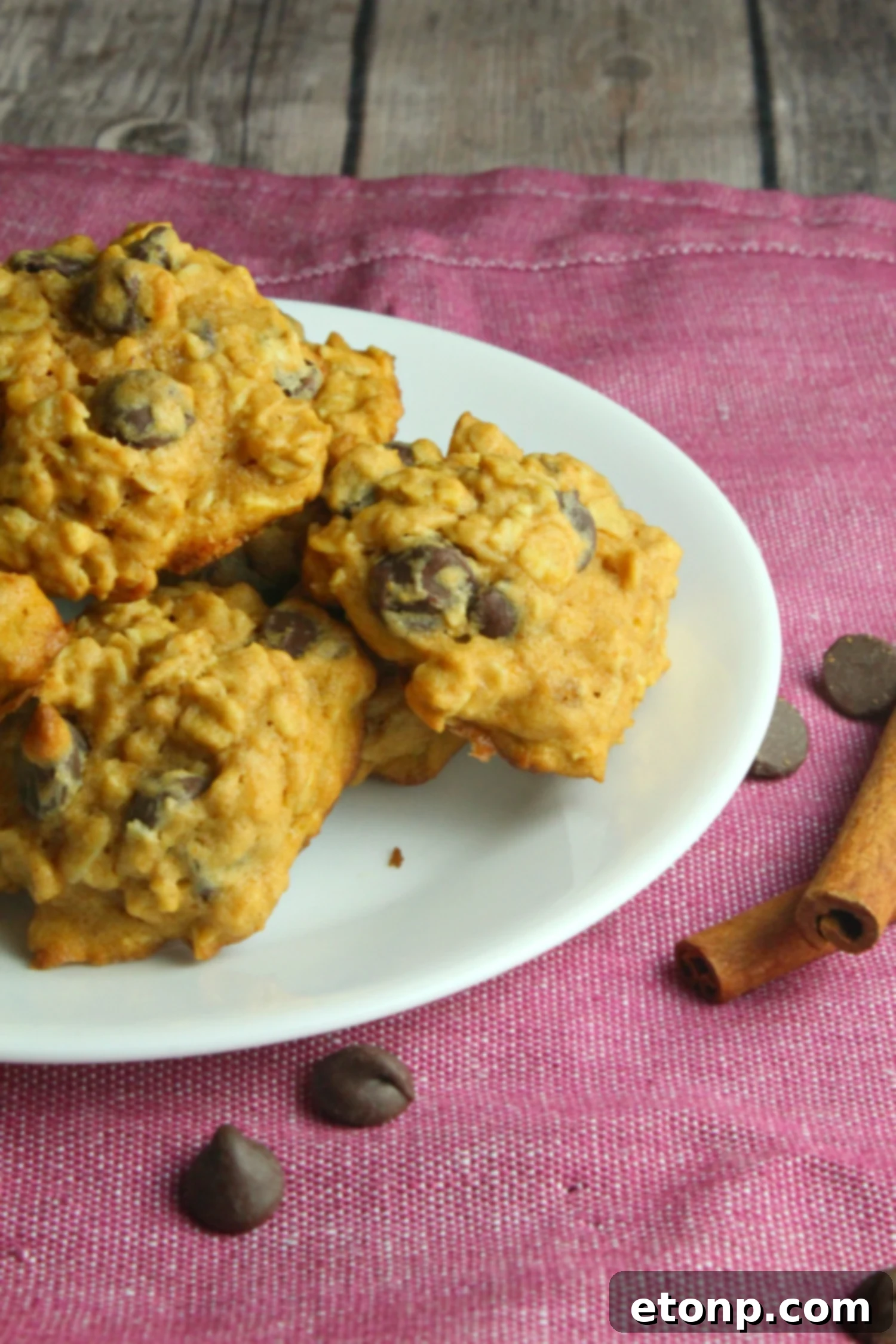 Warm Pumpkin Oatmeal Chocolate Chip Cookies with melted chocolate, served with milk