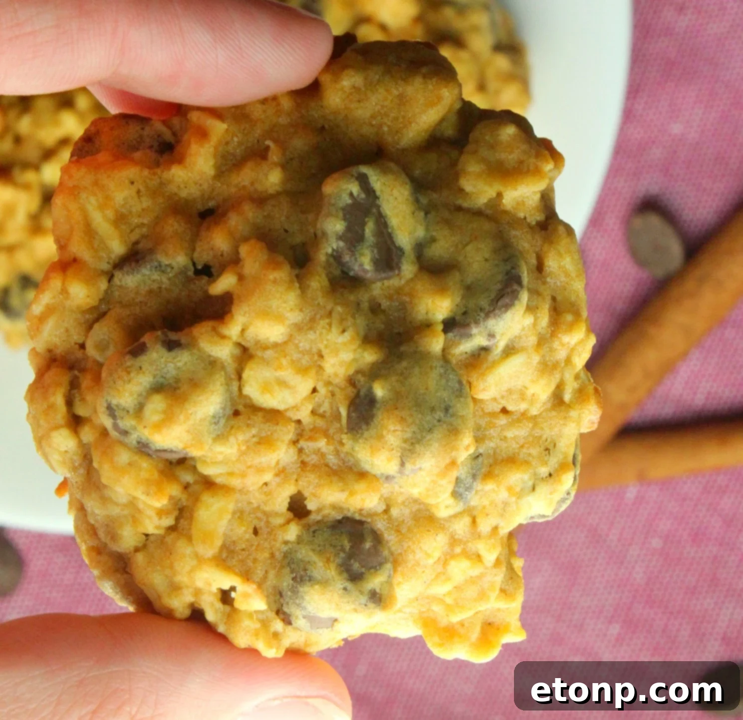 Close-up of a single Pumpkin Oatmeal Chocolate Chip Cookie with oats and chocolate