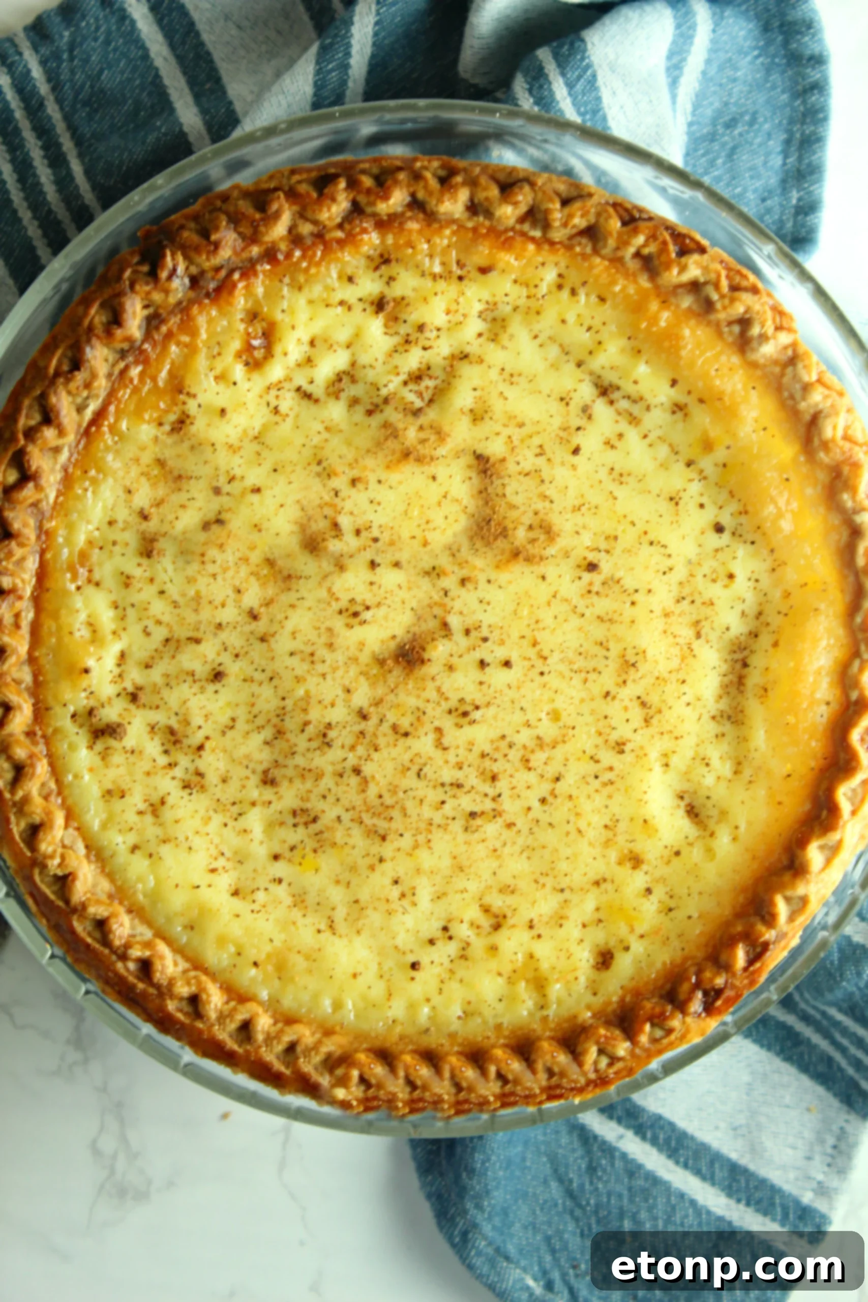A slice of Old Fashioned Cream Custard Pie on a plate, revealing the creamy texture.