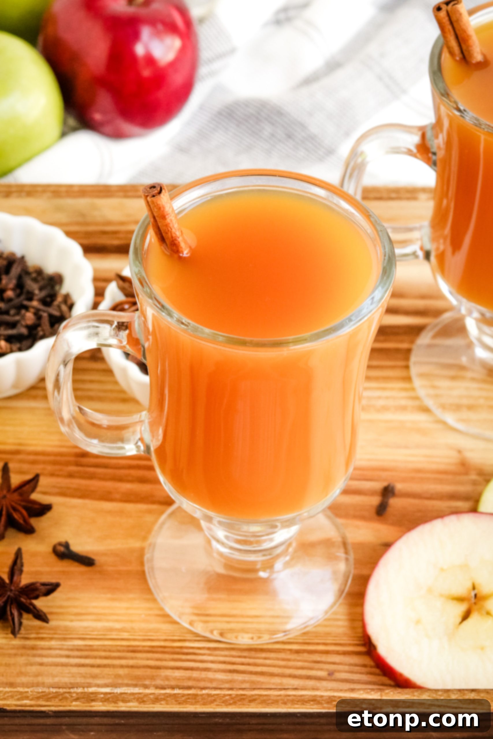 A festive mug of hot mulled cider, garnished with a cinnamon stick, star anise, and orange slice, with a blurred backdrop of autumn foliage.
